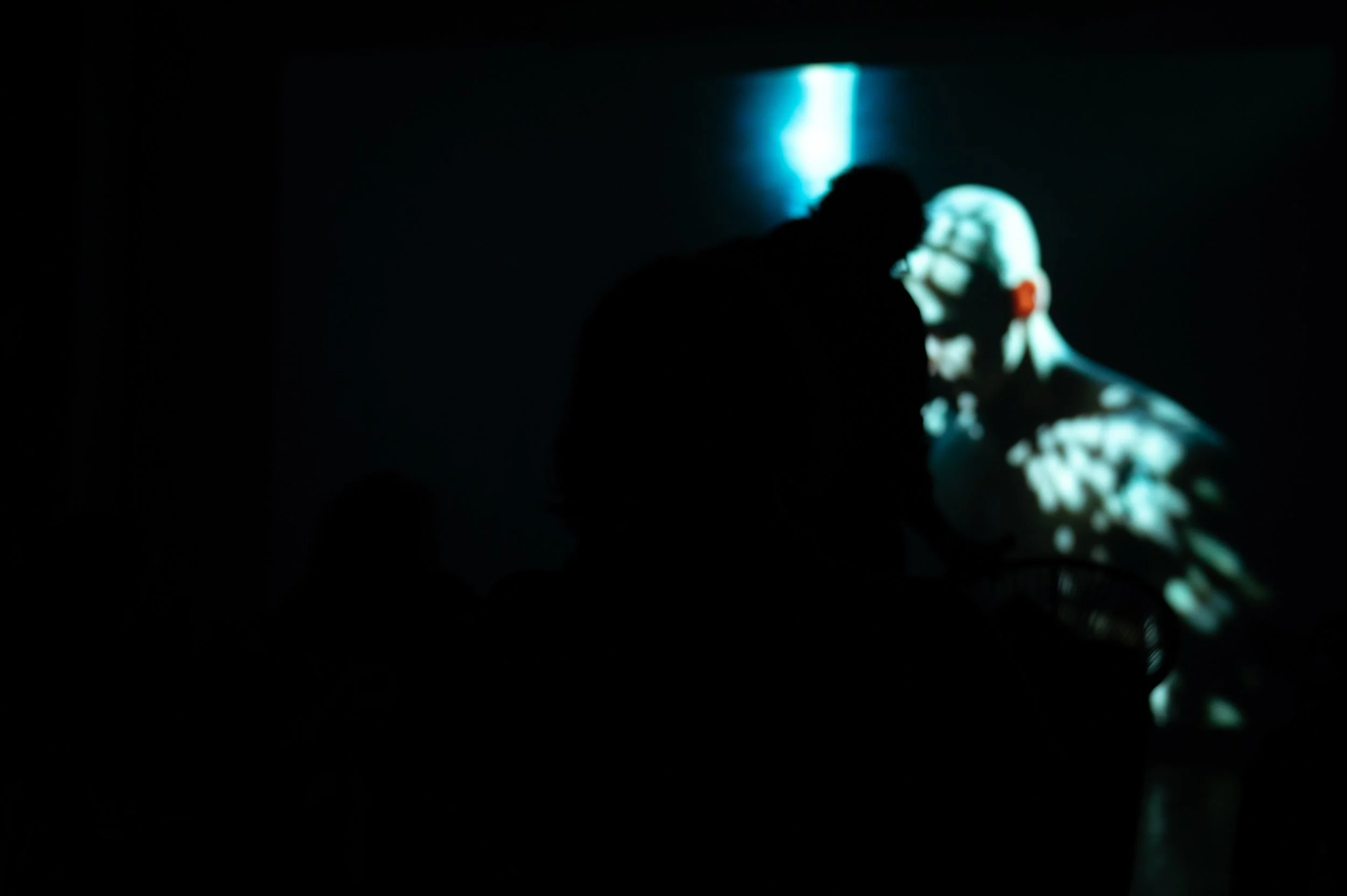 Copy of DSC_8411web.jpg