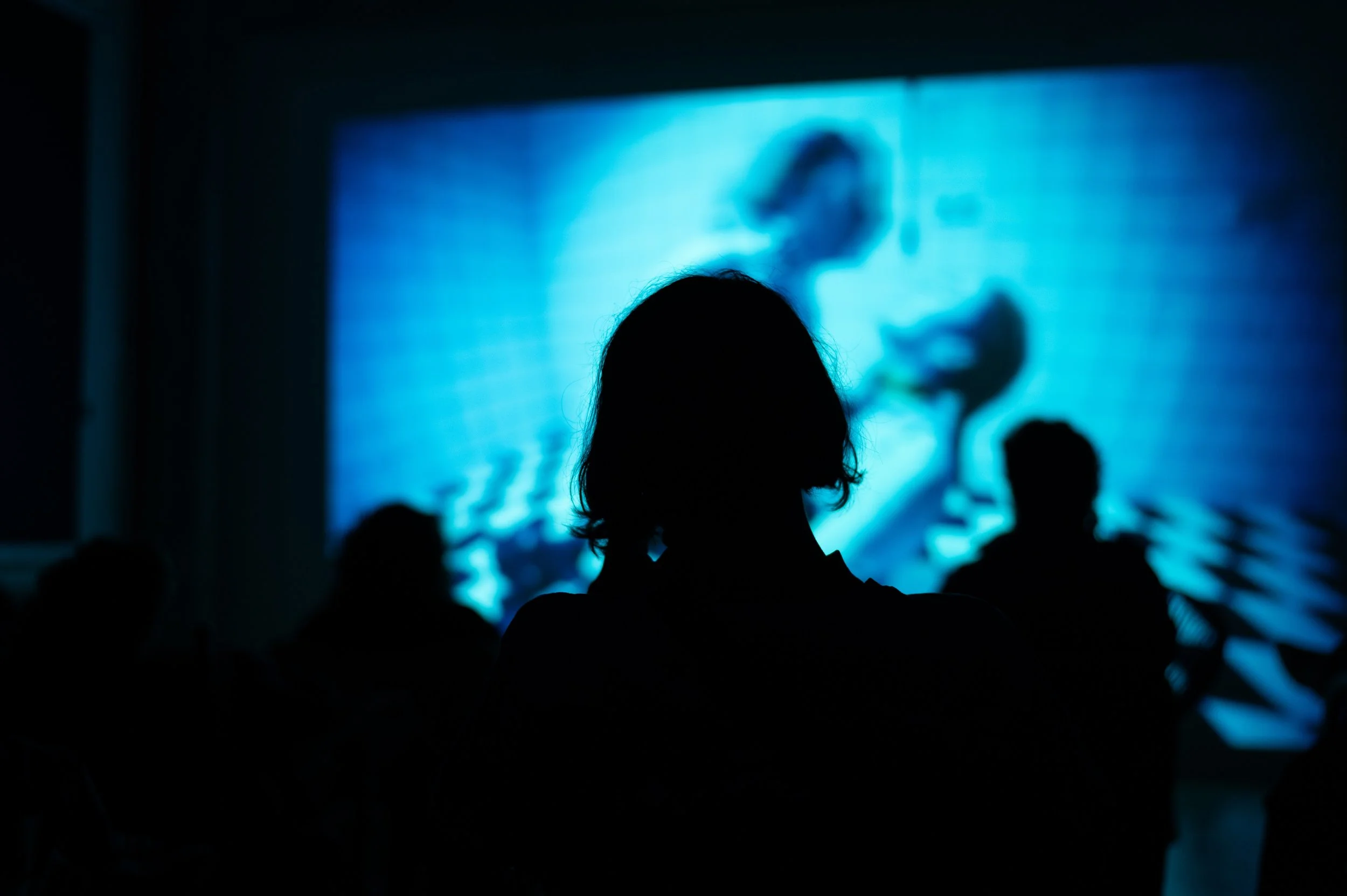 Copy of DSC_8412web.jpg