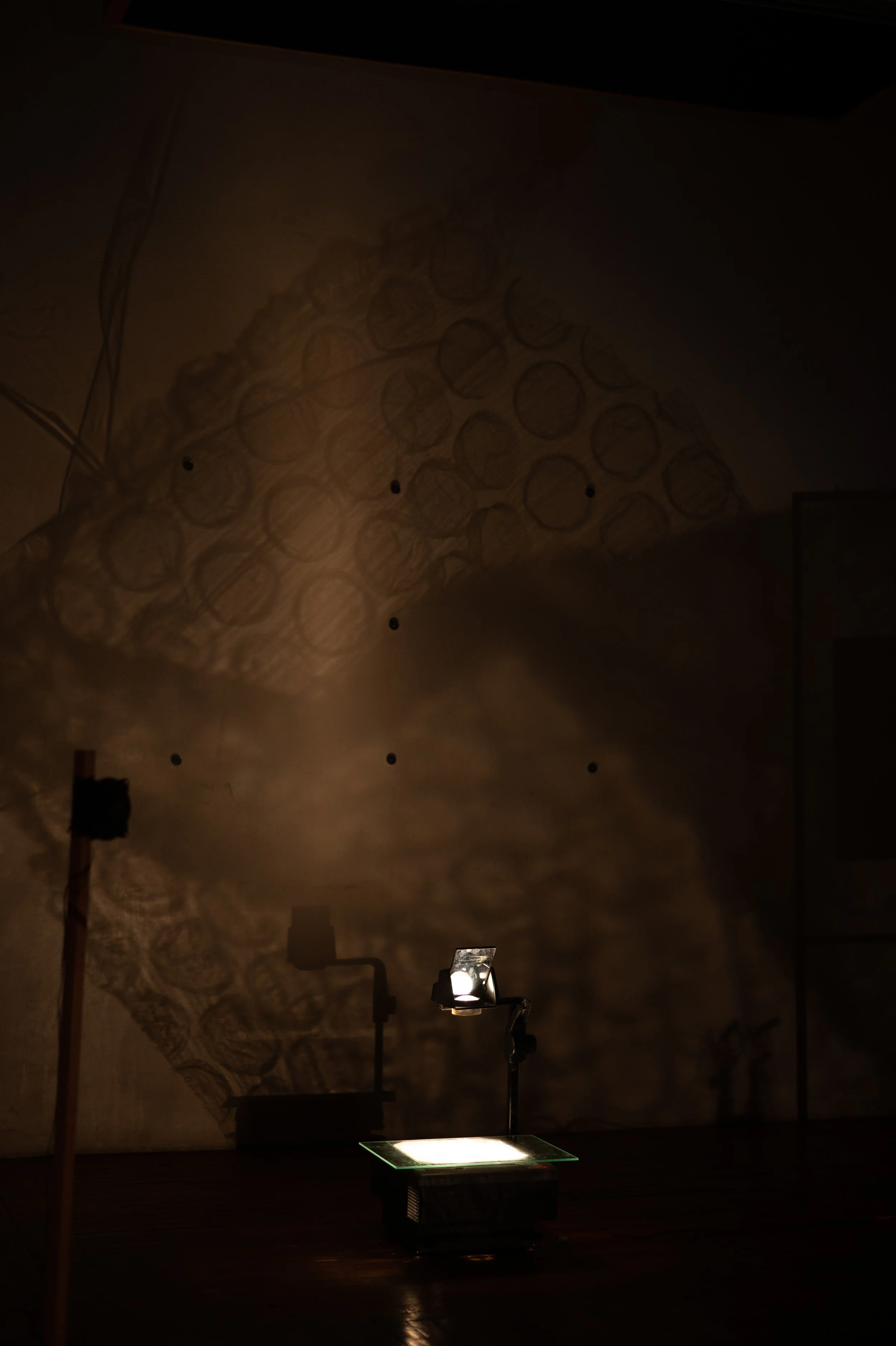 Copy of DSC_8420web.jpg