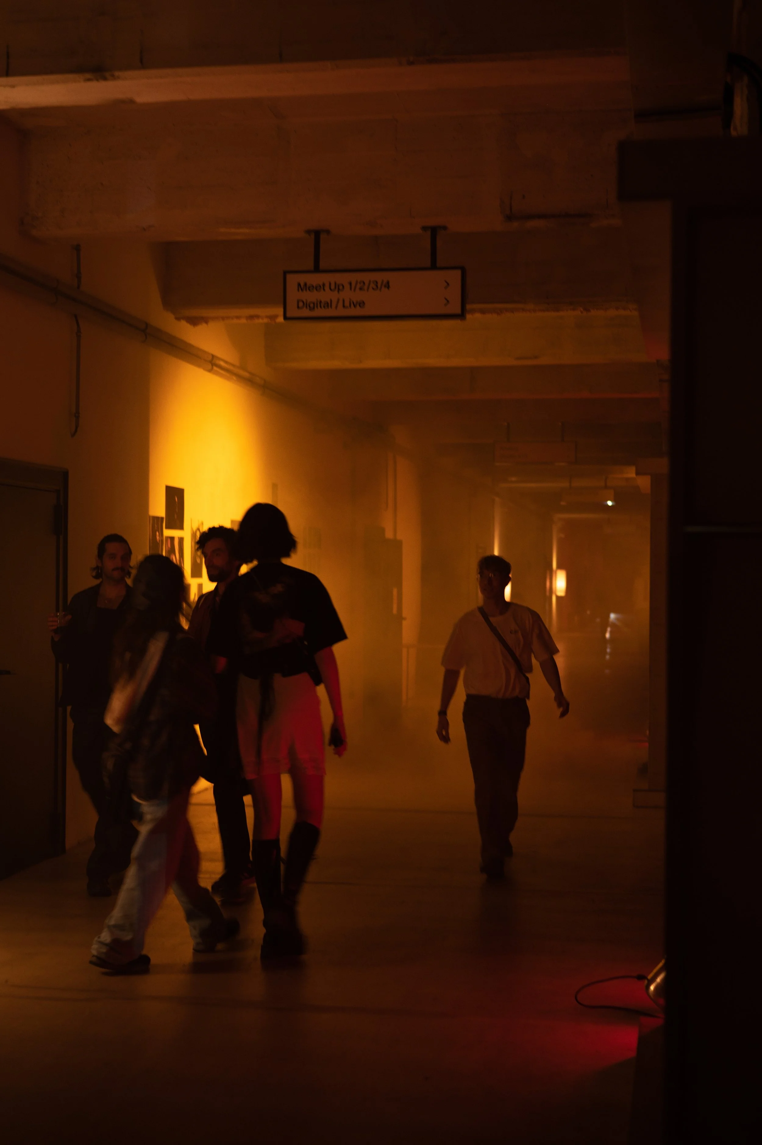 Copy of DSC_8426web.jpg