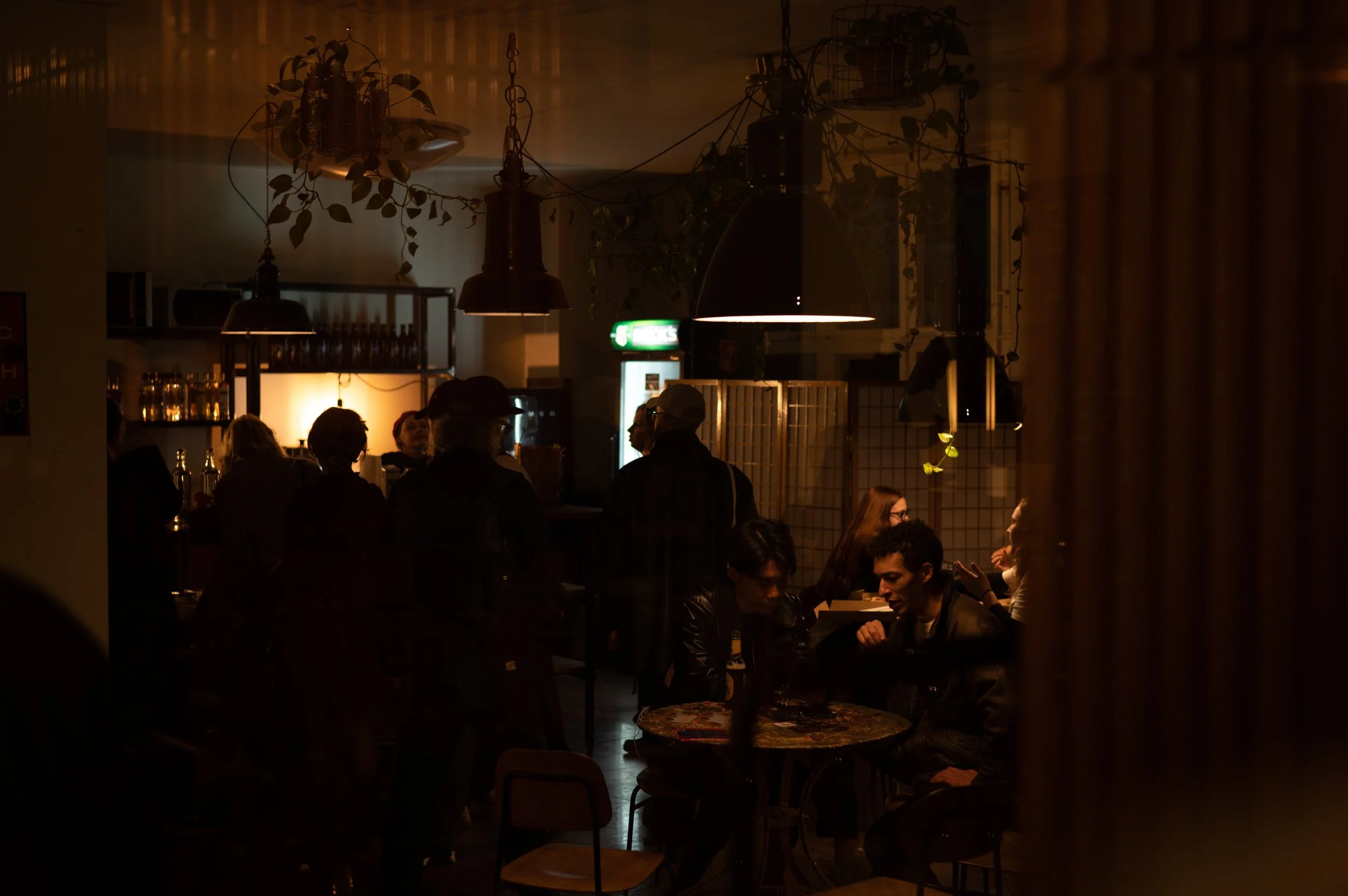 Copy of DSC_8455web.jpg