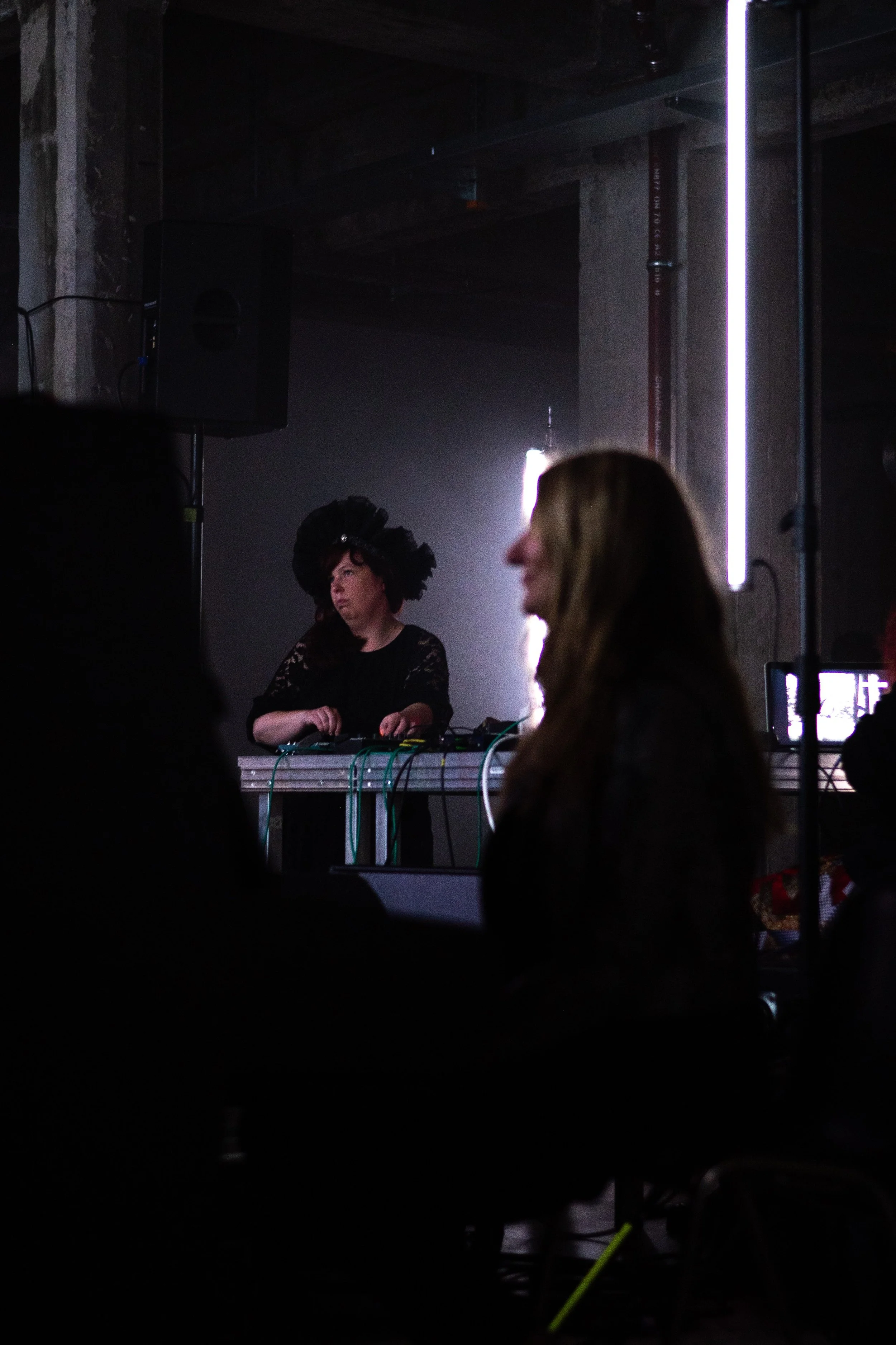 Copy of DSC_8533web.jpg