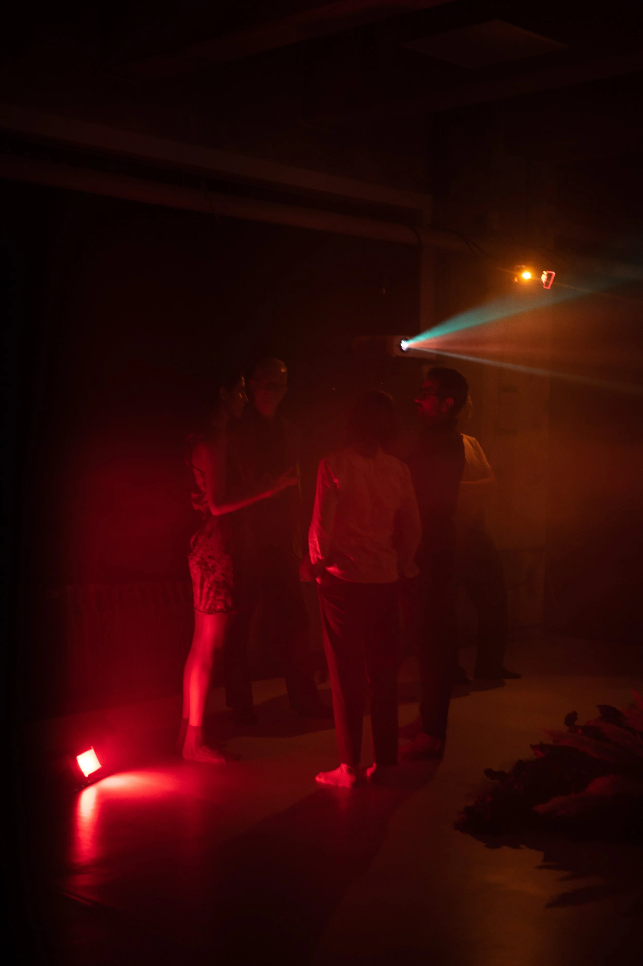 Copy of DSC_8564web.jpg