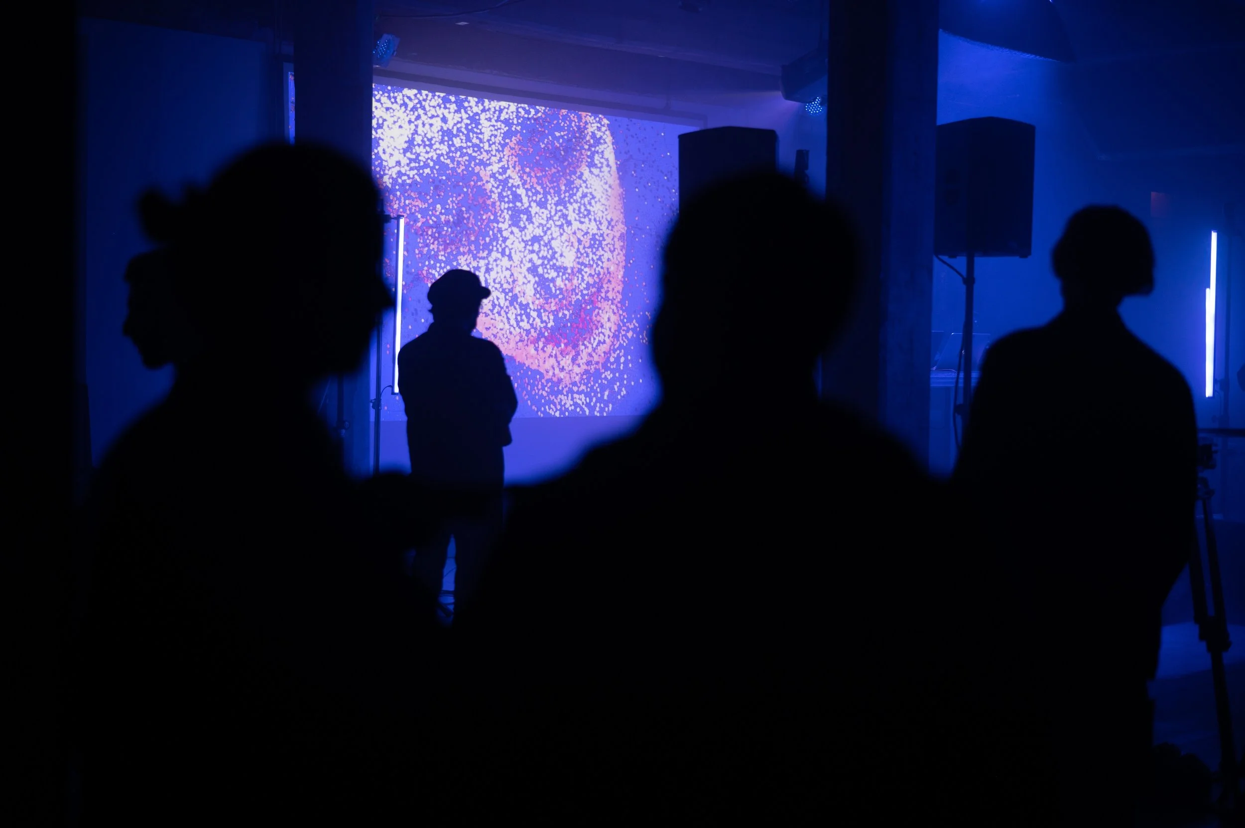 Copy of DSC_8618web.jpg