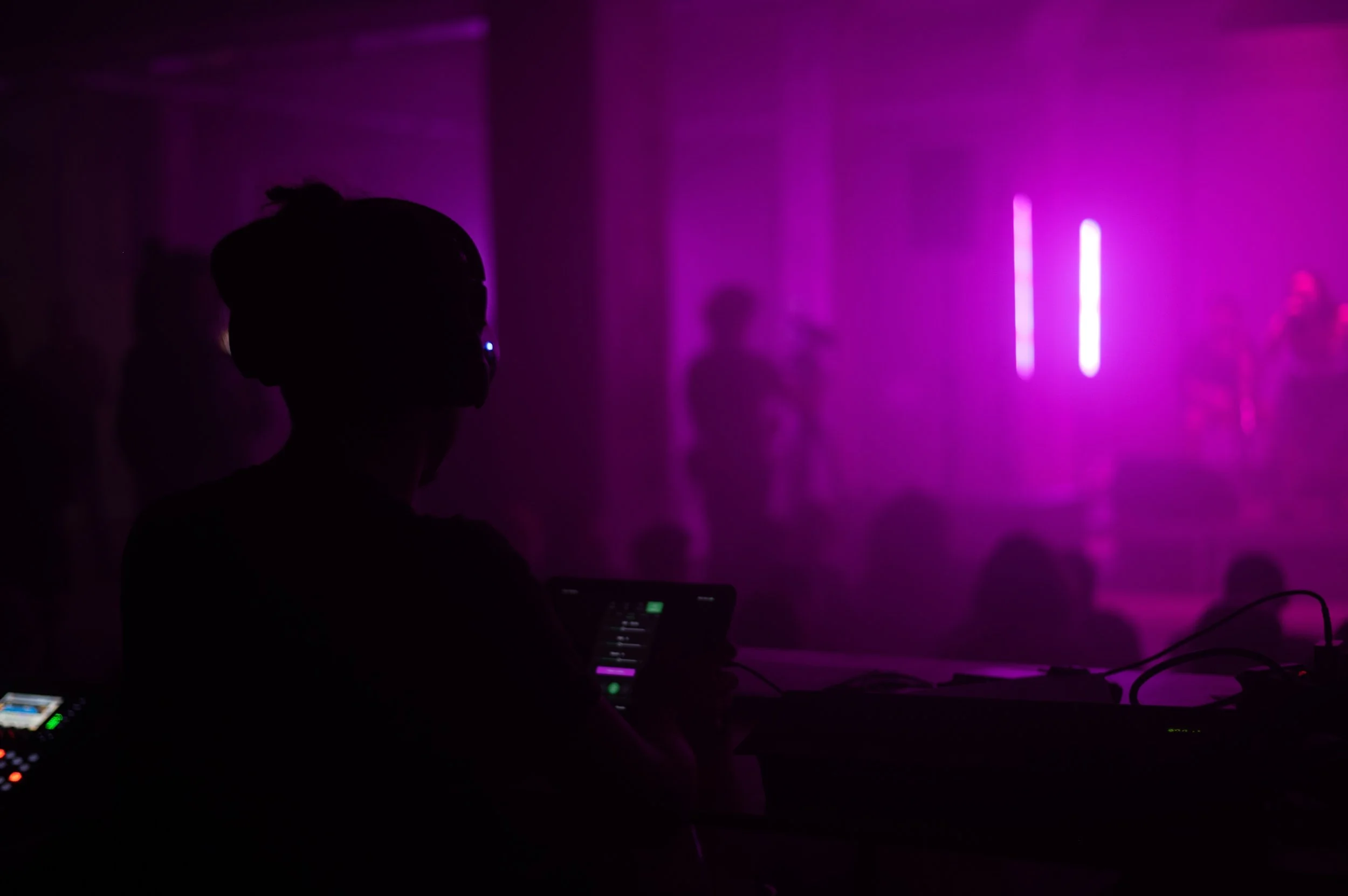 Copy of DSC_8667web.jpg