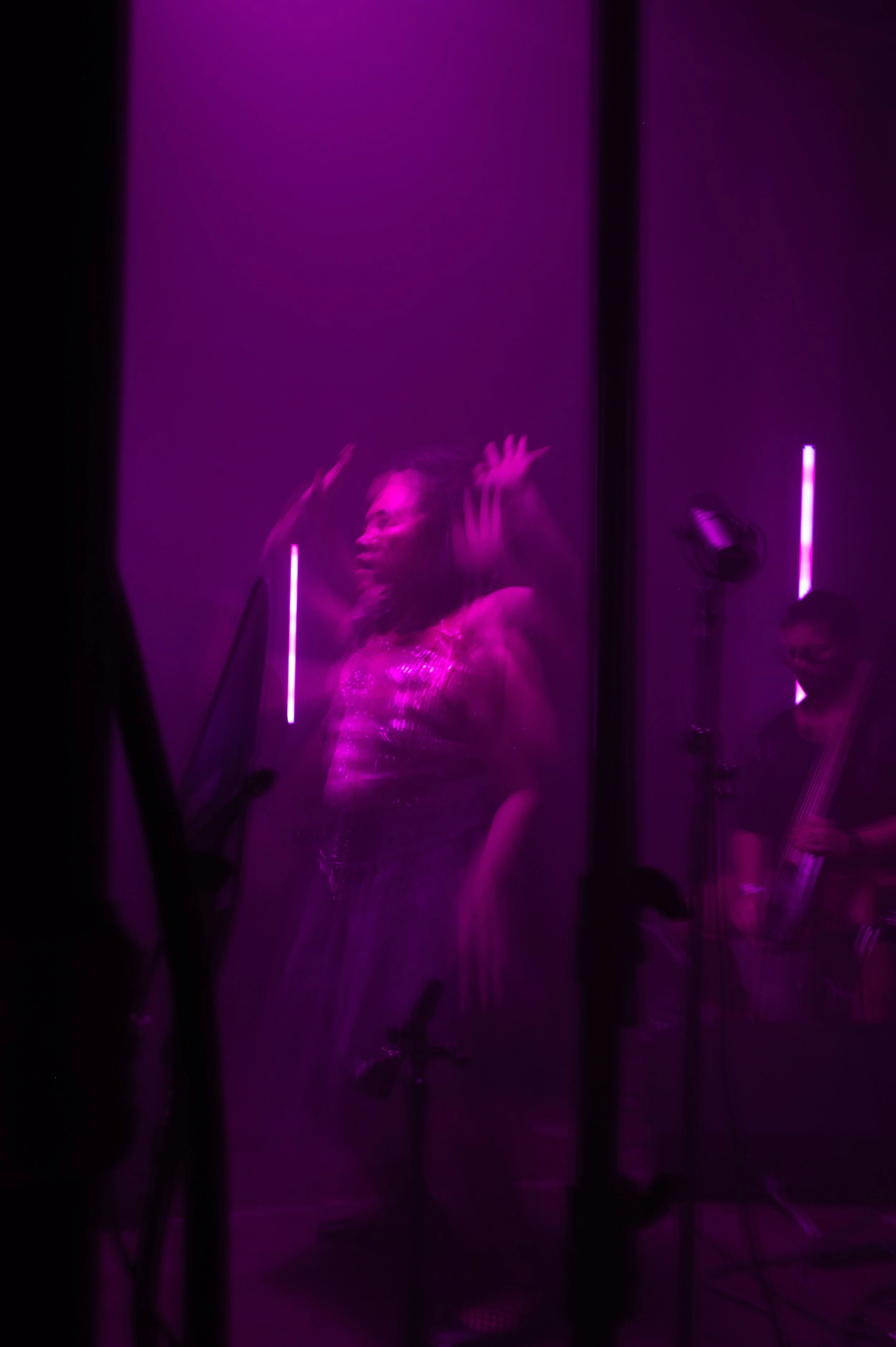 Copy of DSC_8684web.jpg