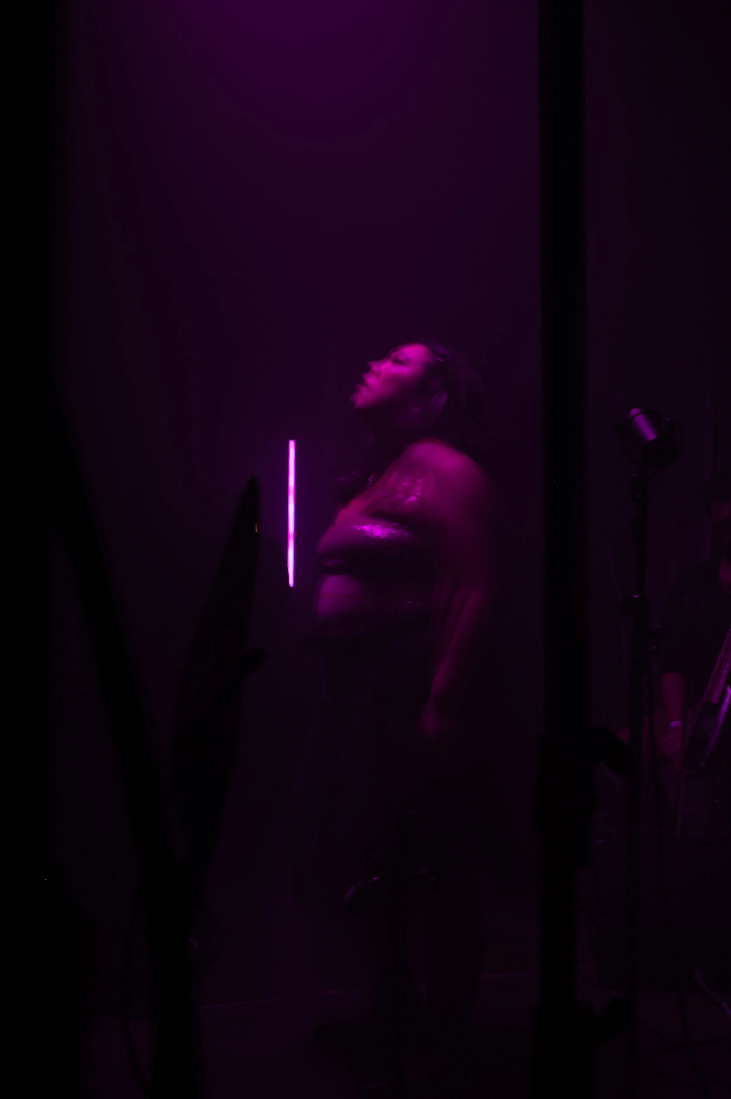 Copy of DSC_8688web.jpg