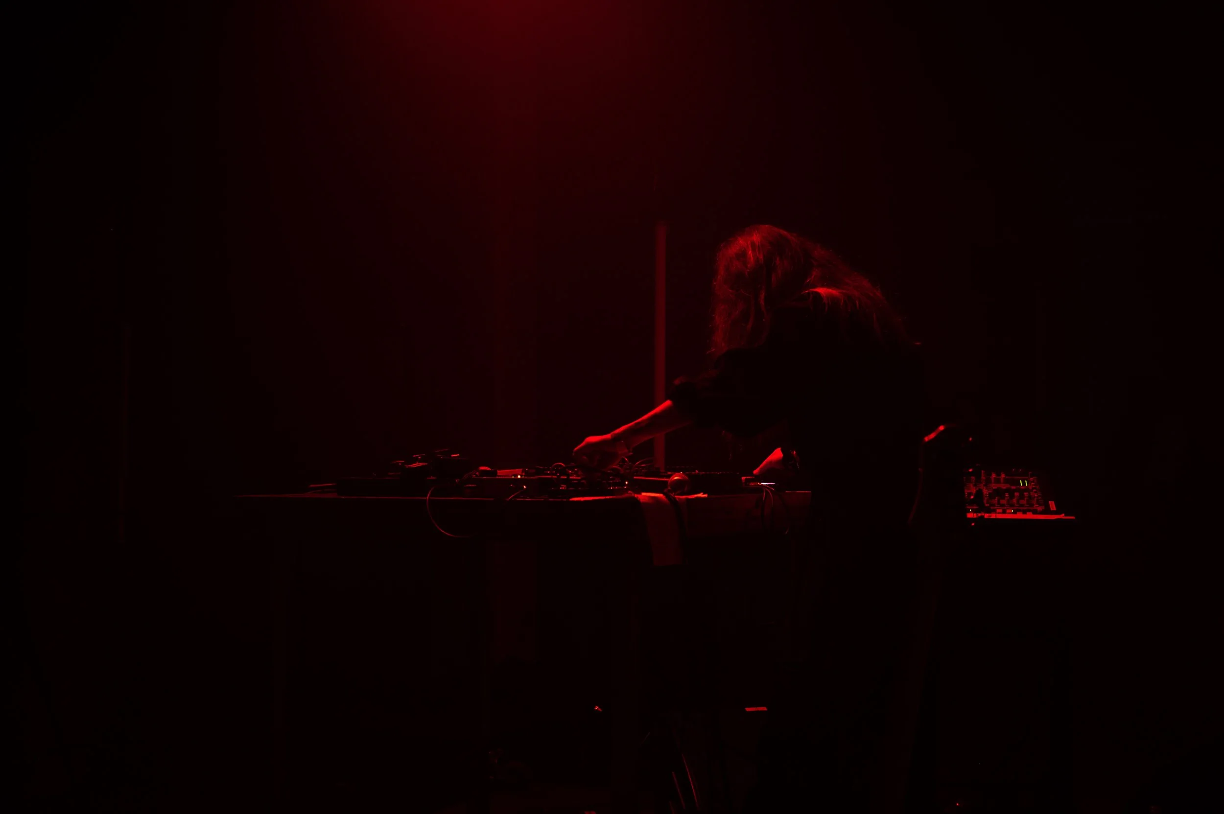 Copy of DSC_8813web.jpg