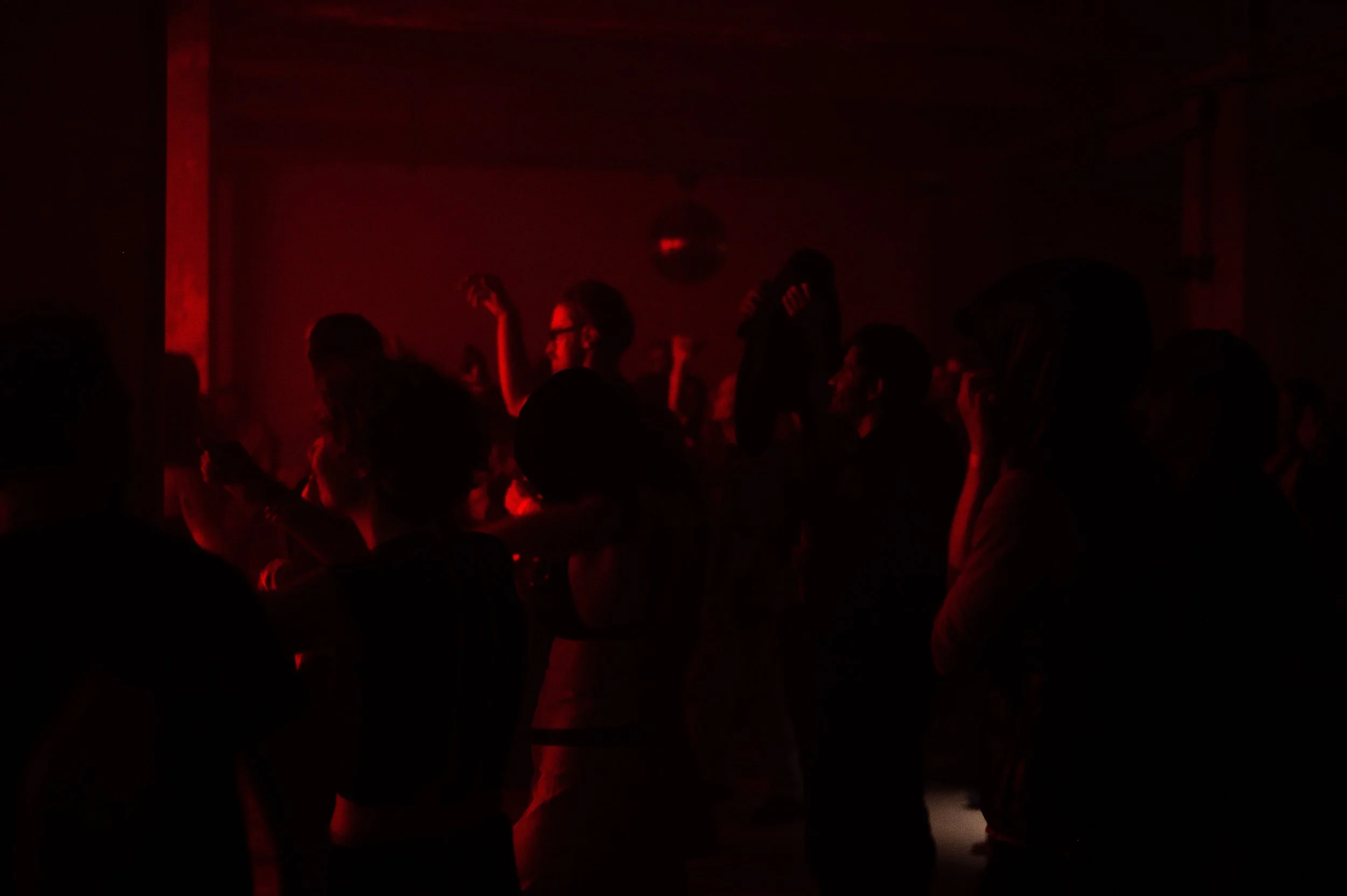 Copy of DSC_8965web.jpg