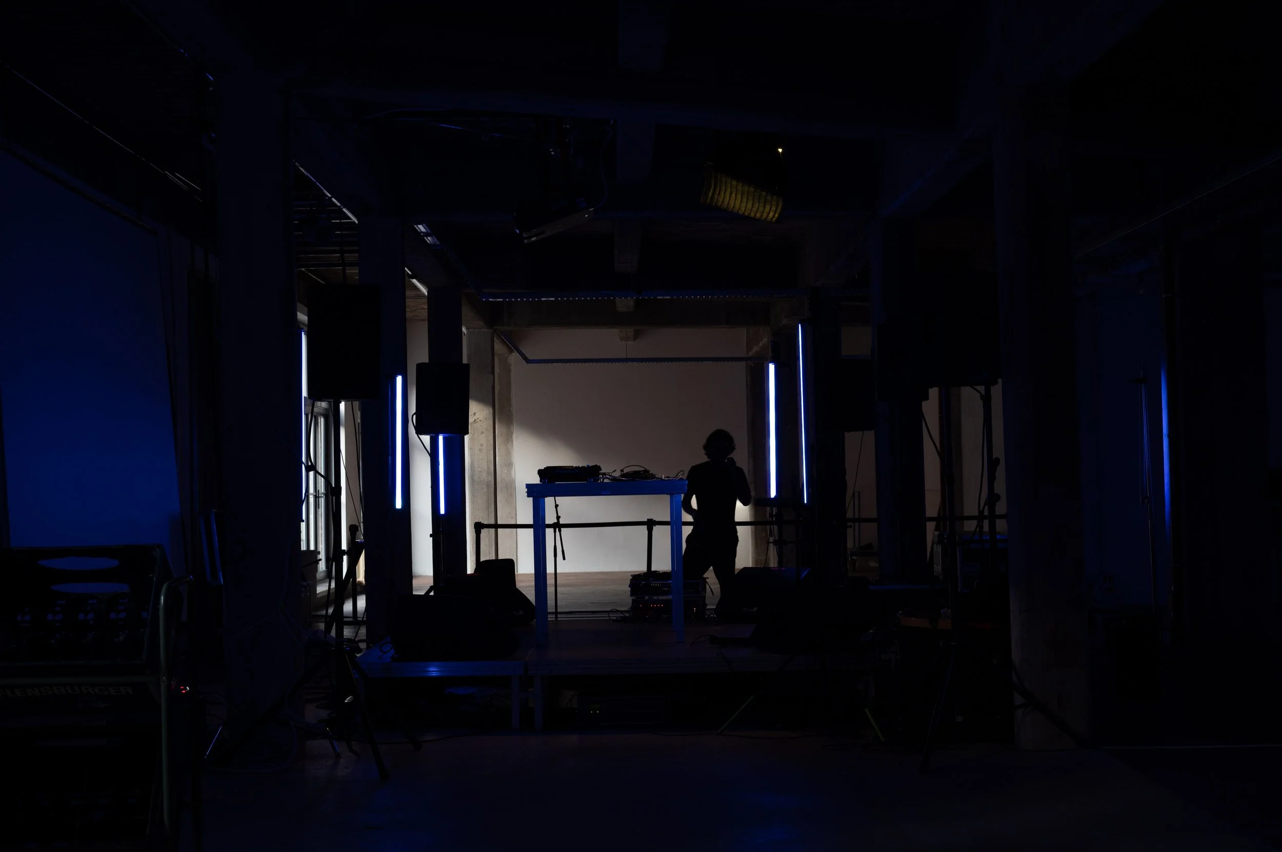 Copy of DSC_9011web.jpg