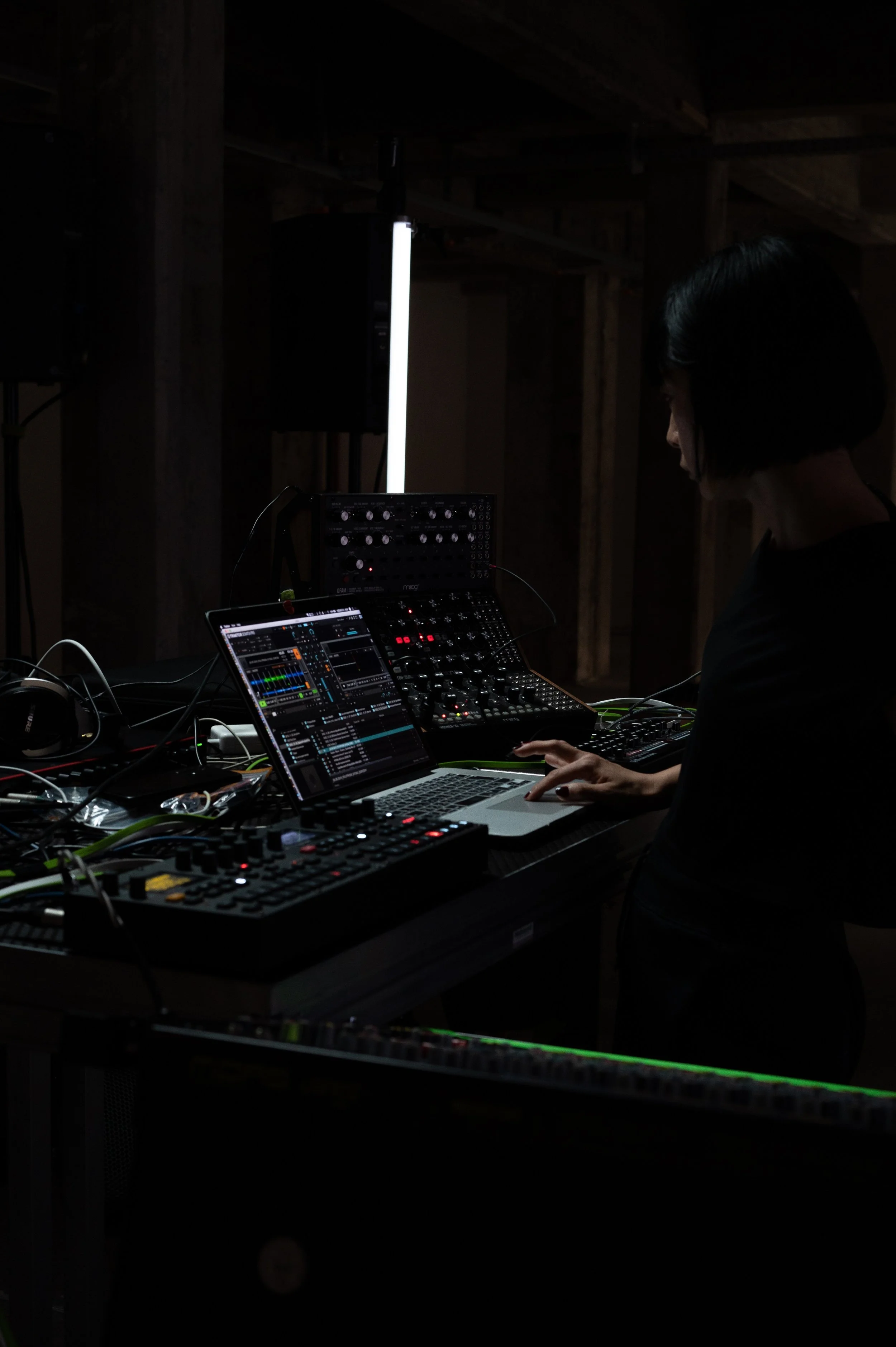 Copy of DSC_9079web.jpg