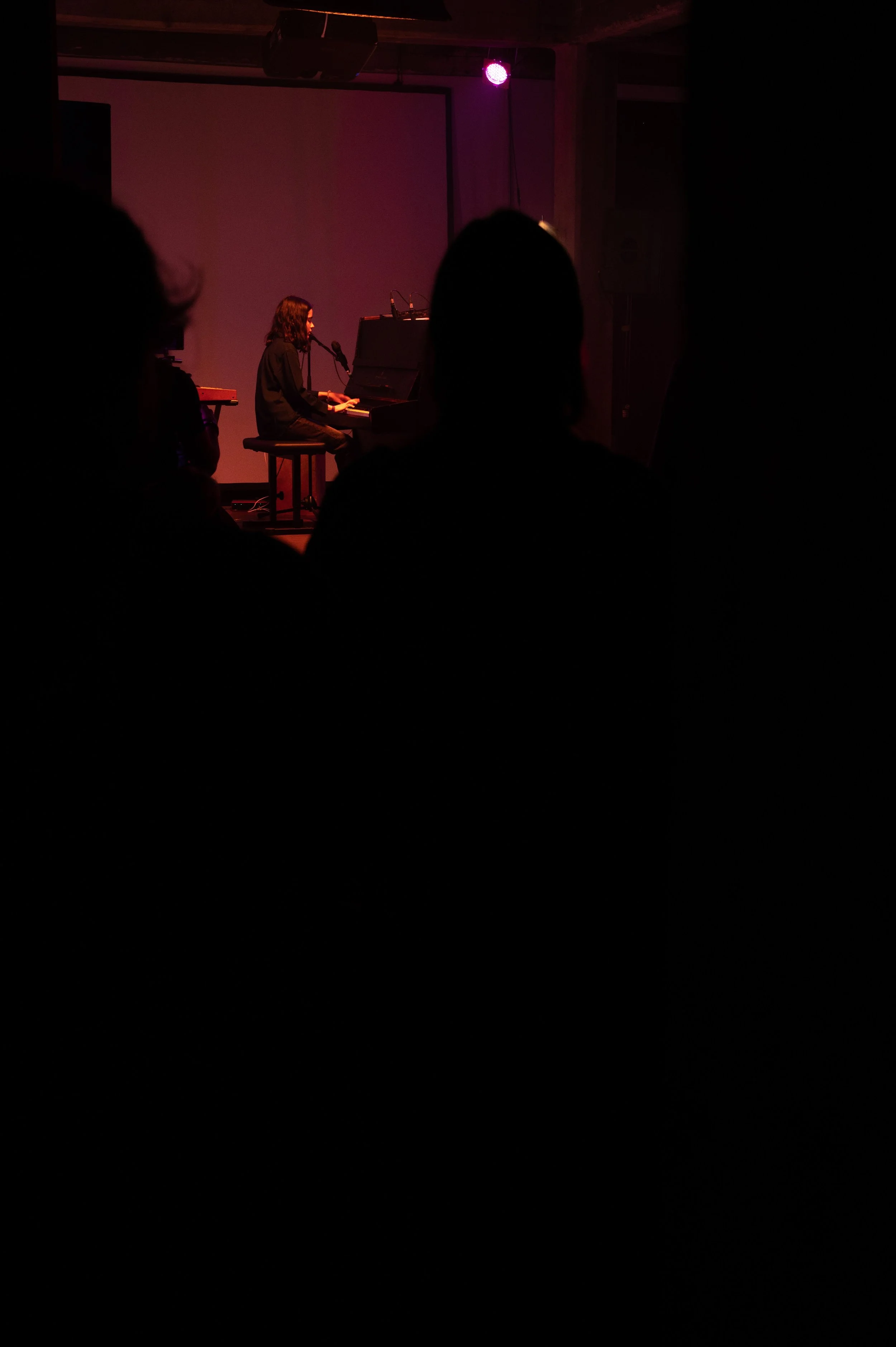 Copy of DSC_9126web.jpg