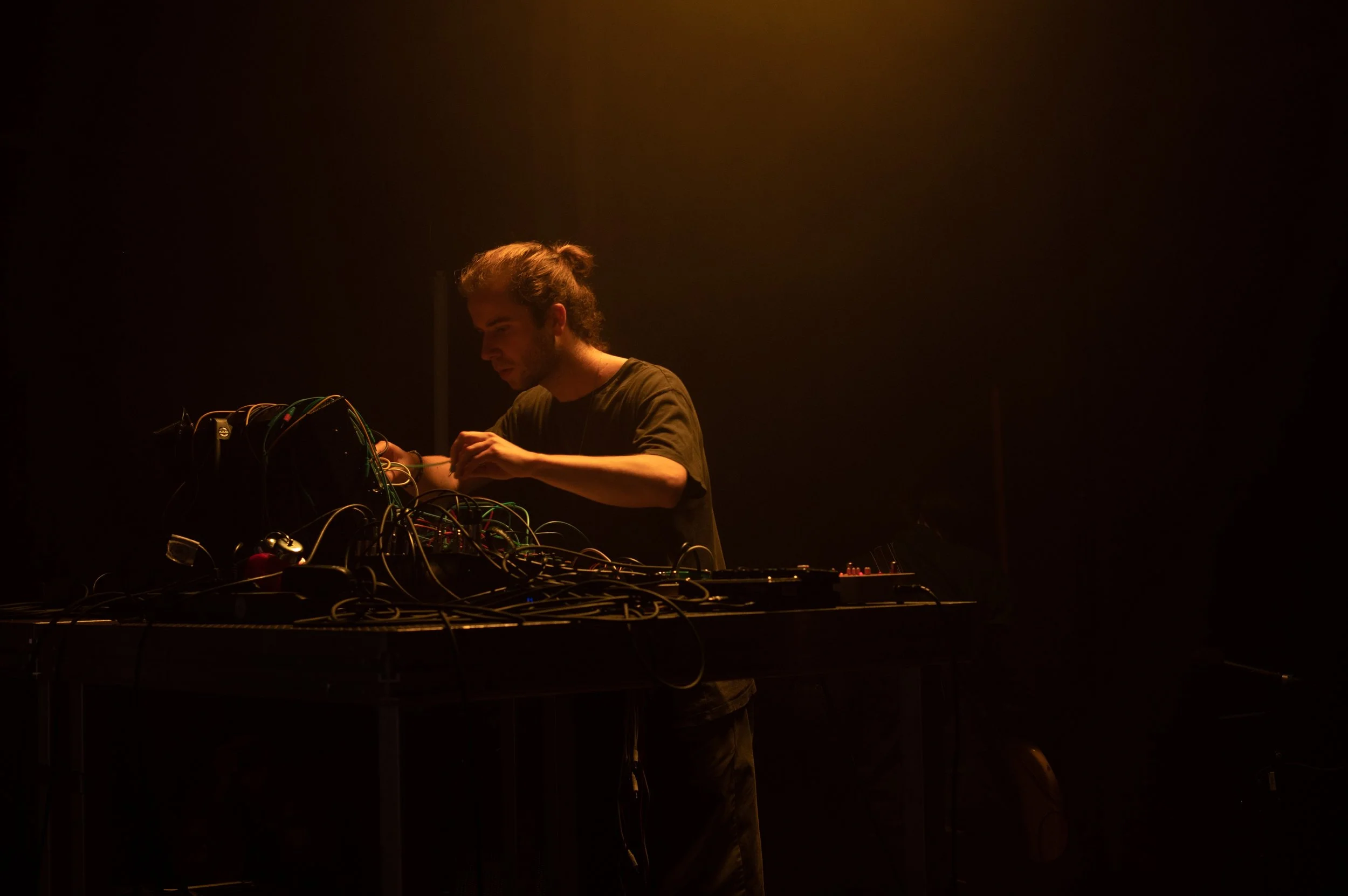 Copy of DSC_9203web.jpg