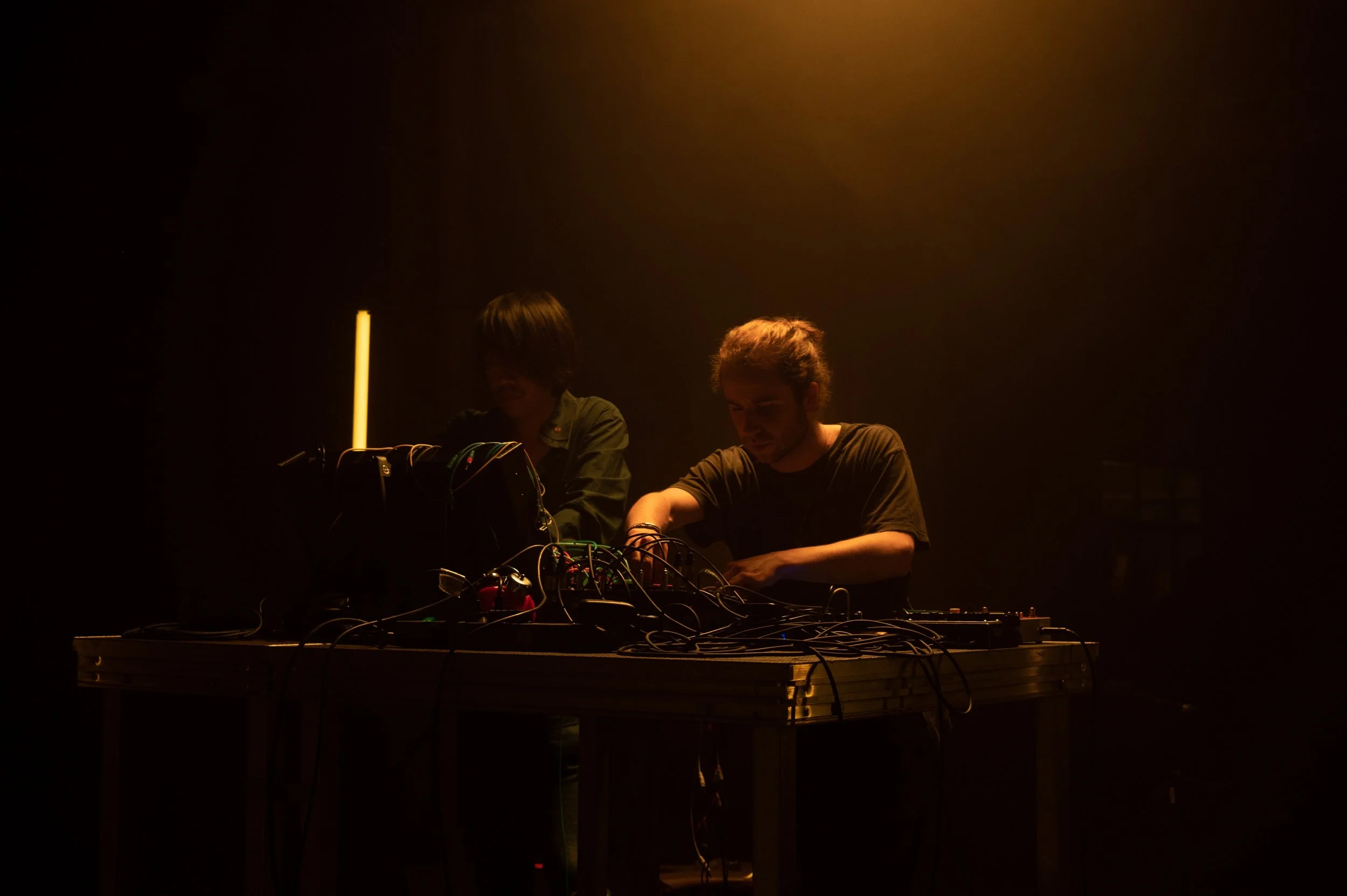 Copy of DSC_9219web.jpg