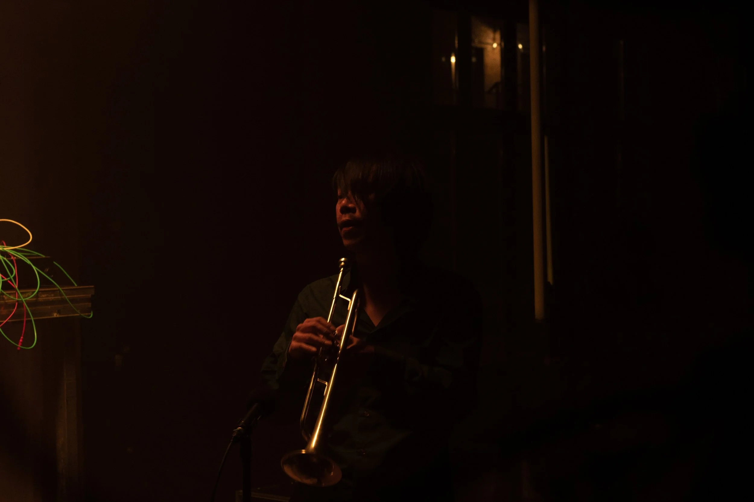 Copy of DSC_9247web.jpg