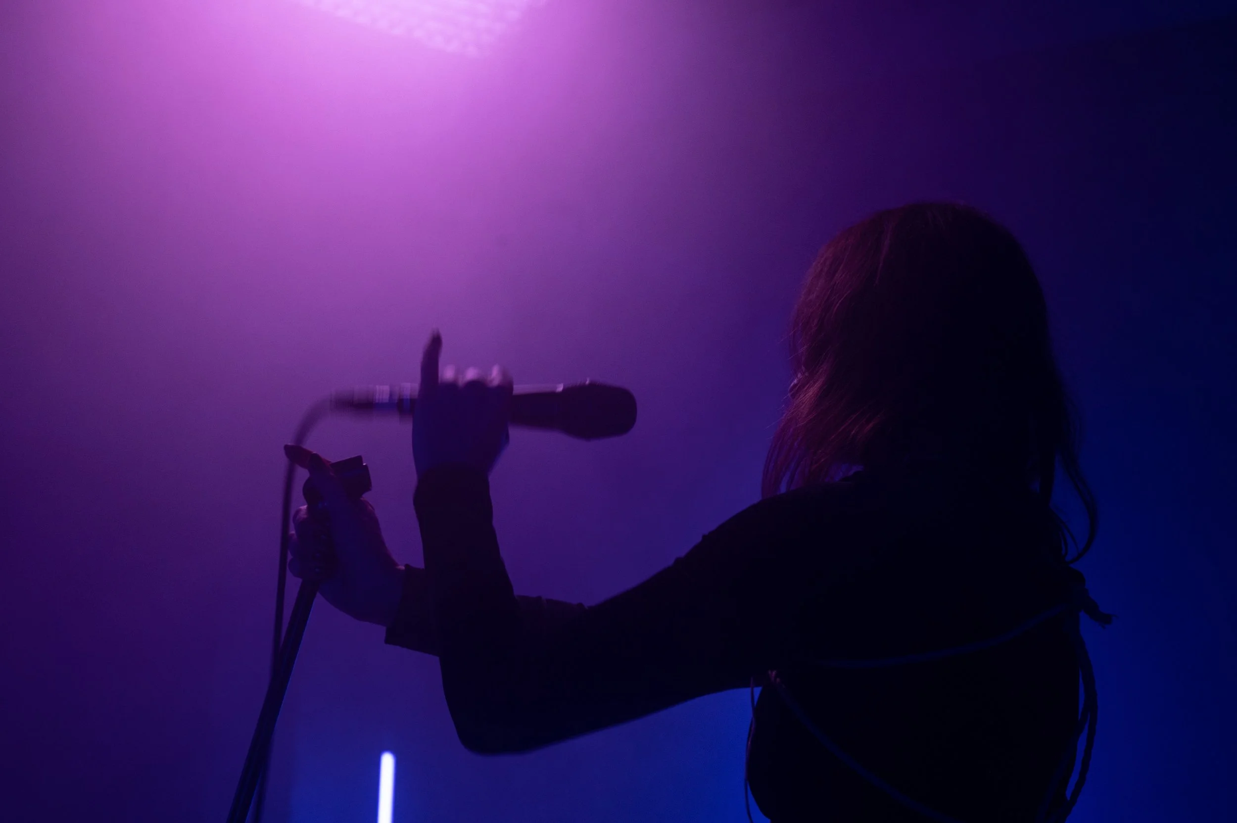 Copy of DSC_9305web.jpg