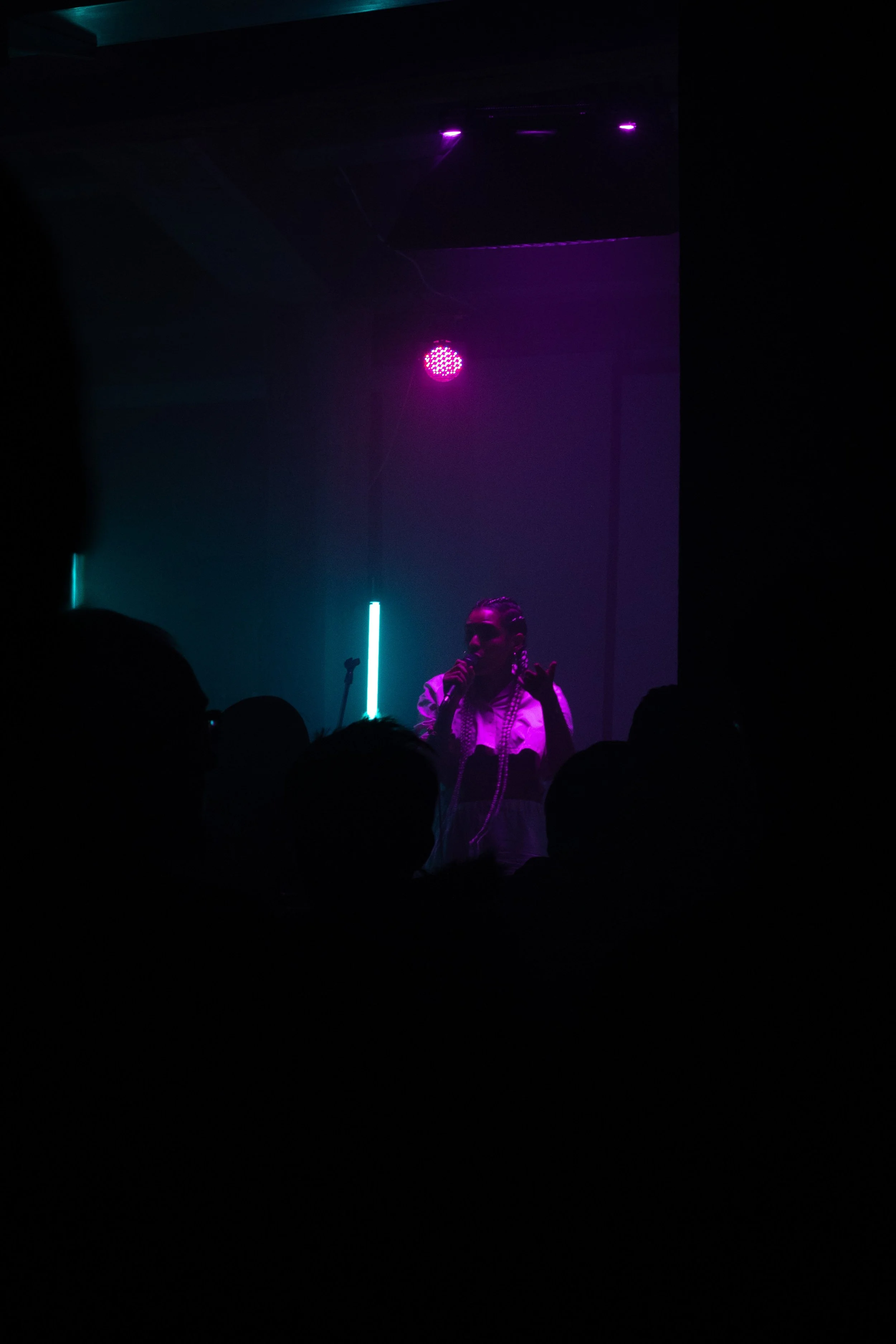 Copy of DSC_9400web.jpg