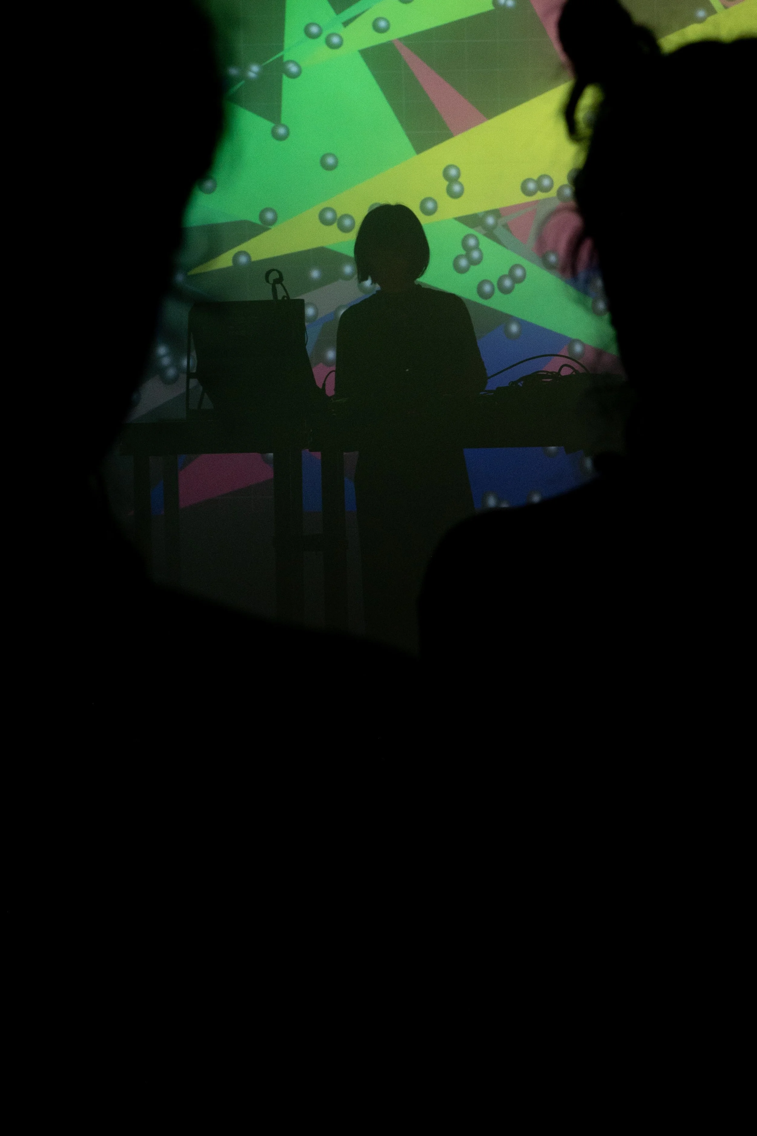 Copy of DSC_9586web.jpg