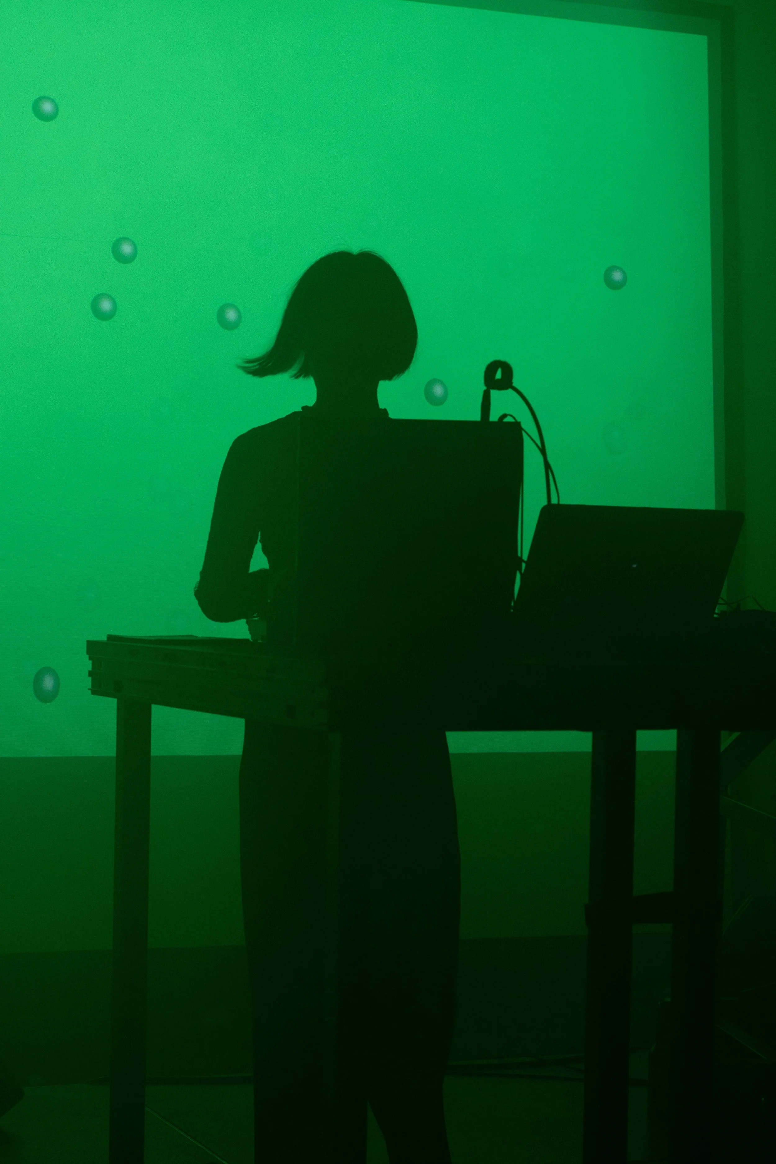 Copy of DSC_9597web.jpg