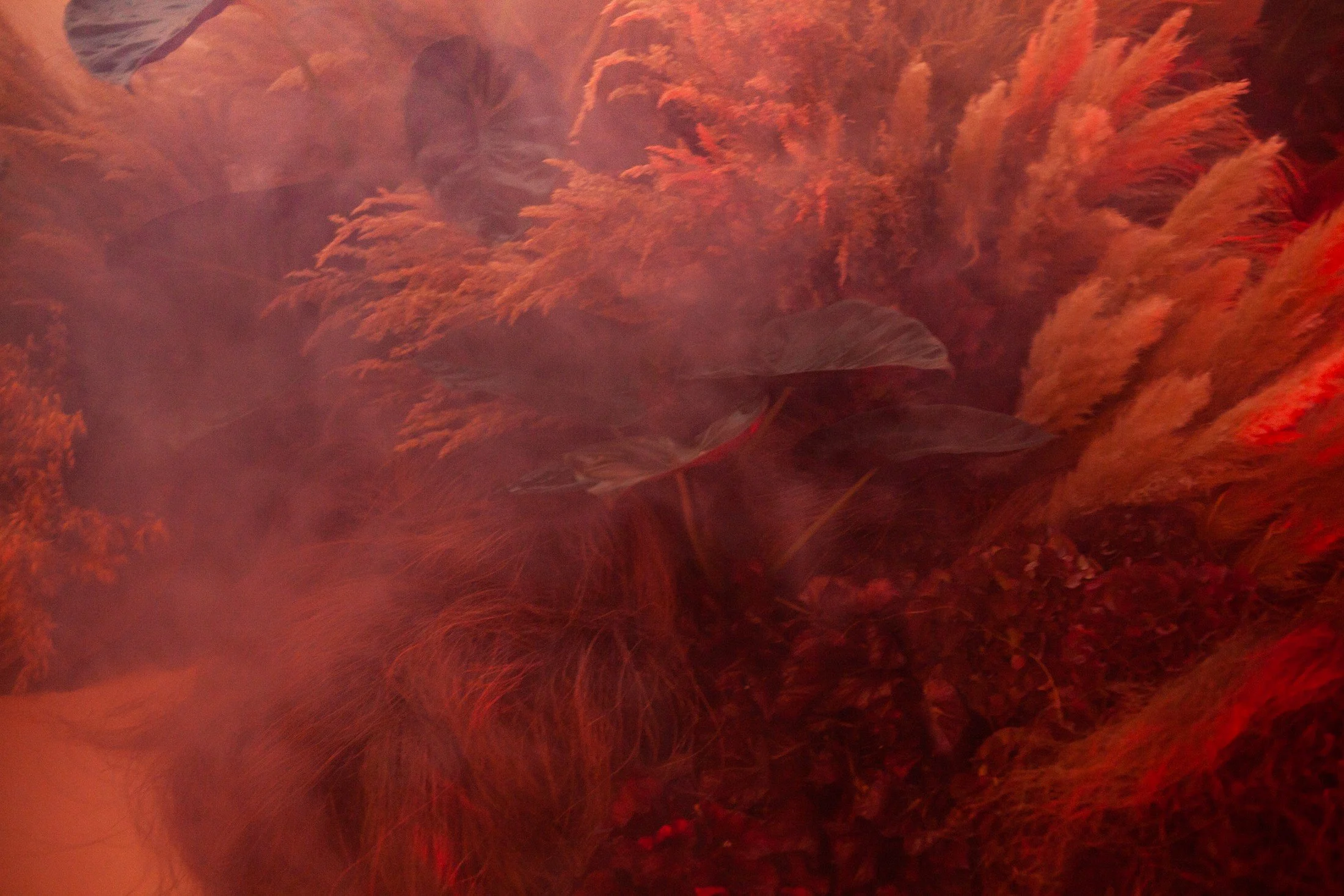 Copy of IMG_1468web.jpg