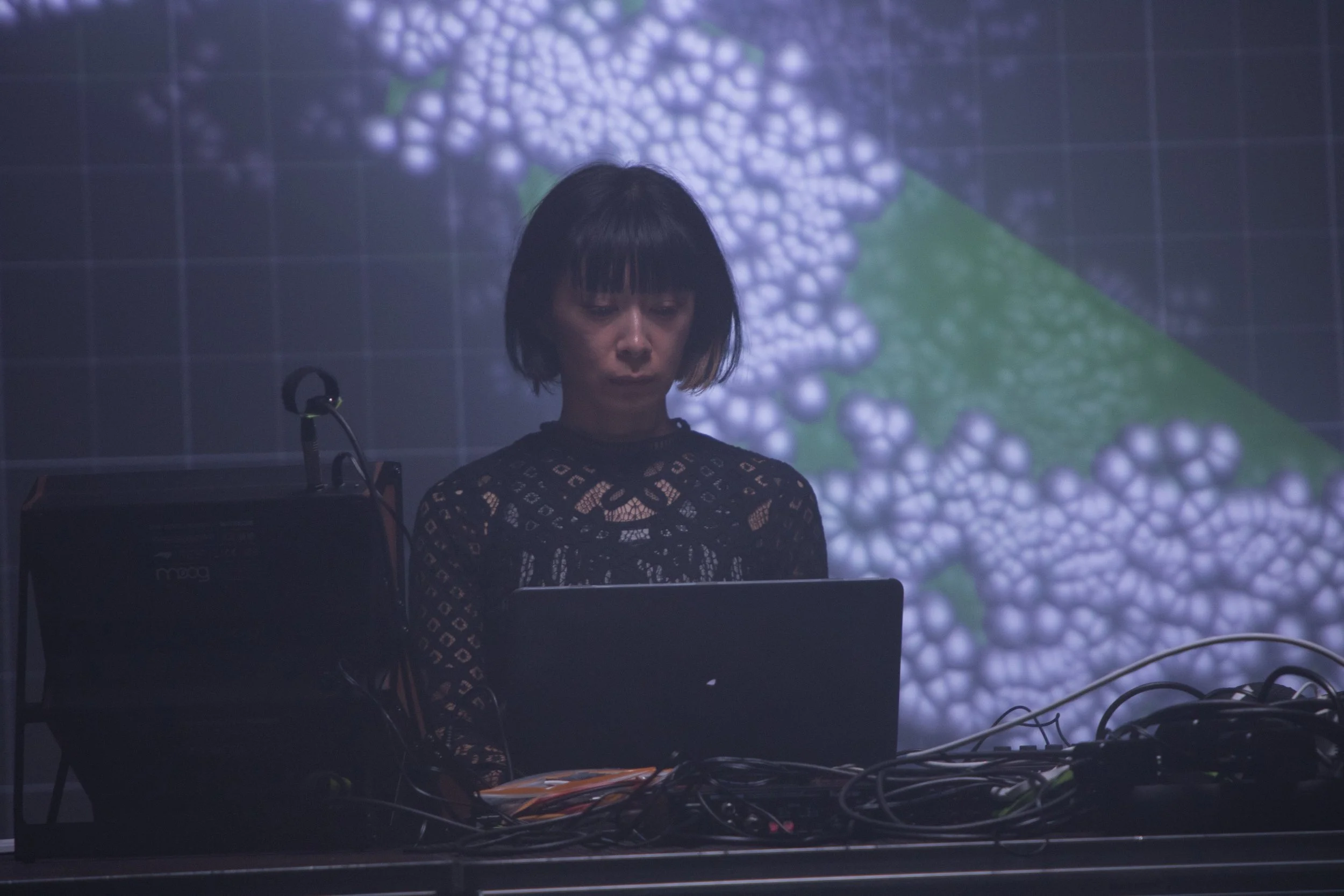 Copy of IMG_9951web.jpg