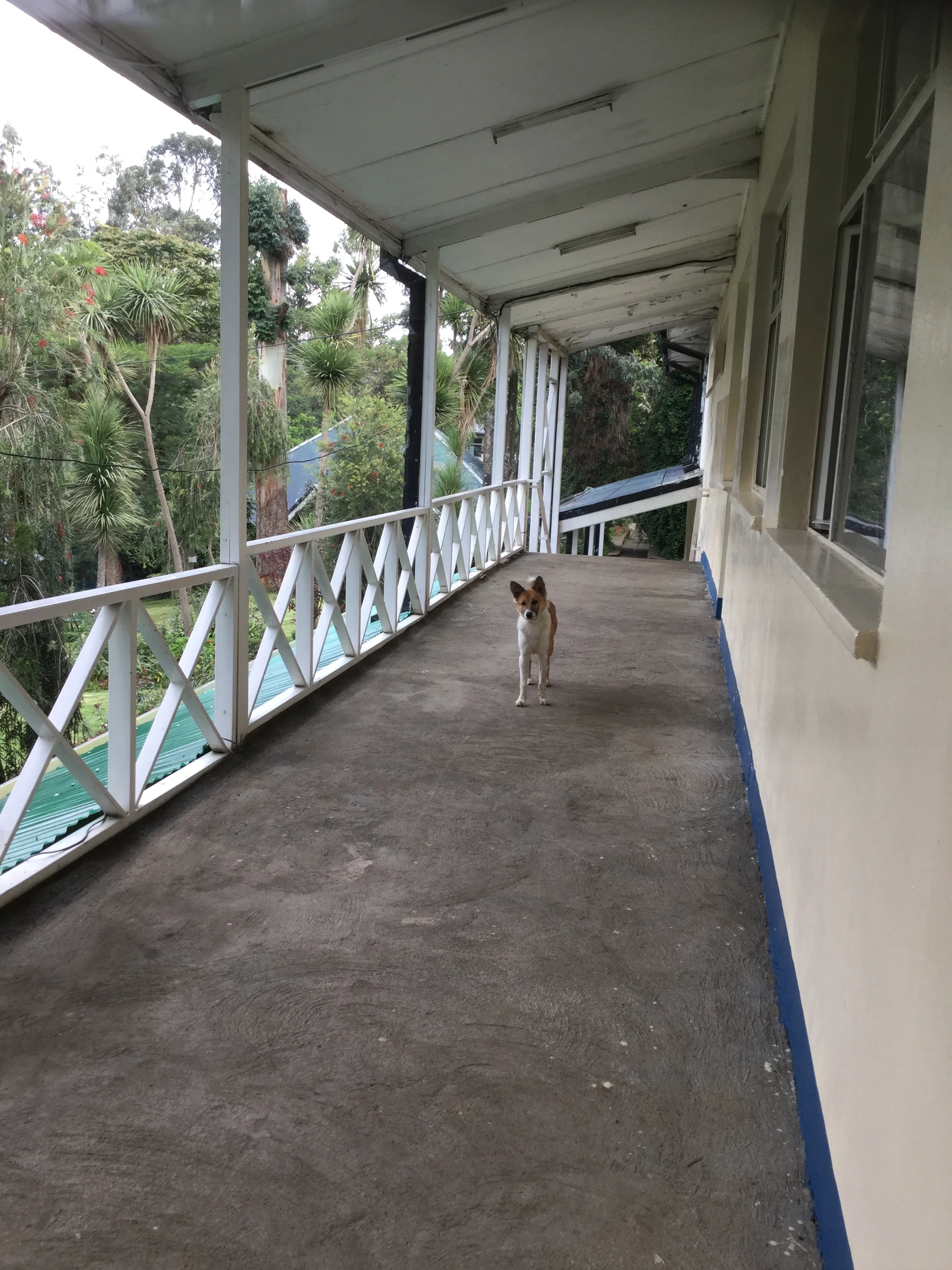 Addis Ababa Fistula Hospital