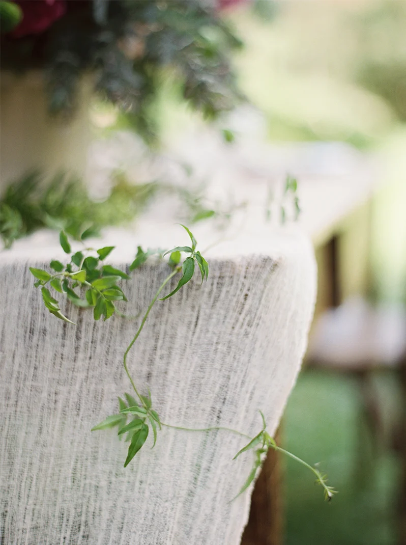 photosynthesis floral design-kate ignatowski photography