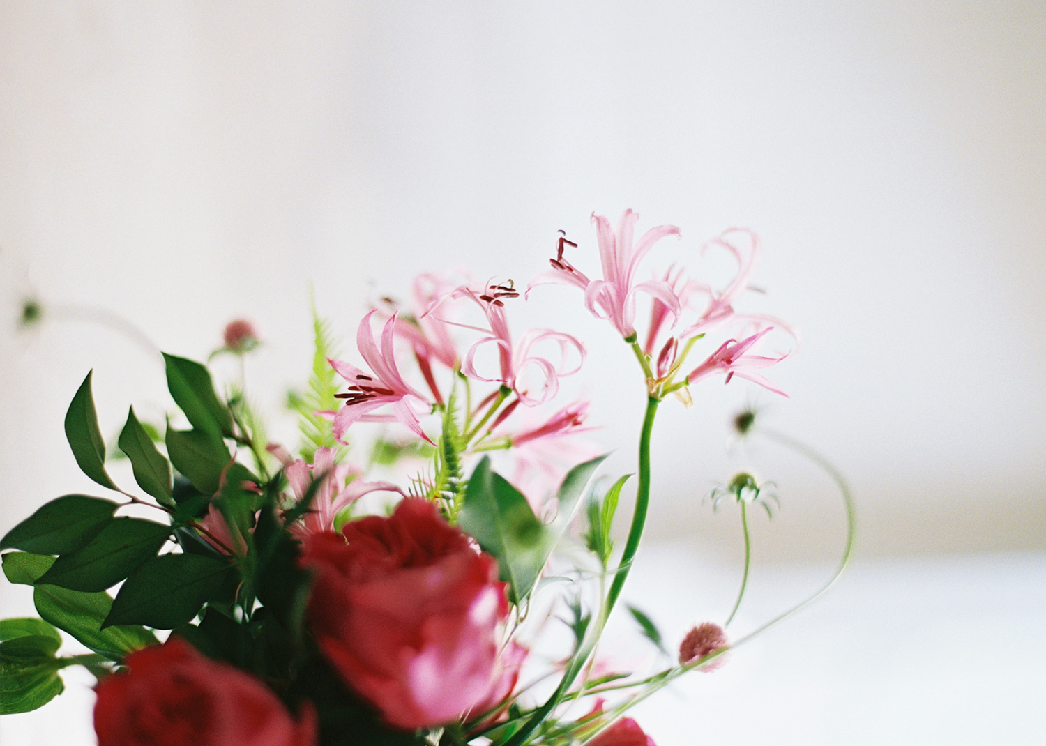 photosynthesis floral design-kate ignatowski photography