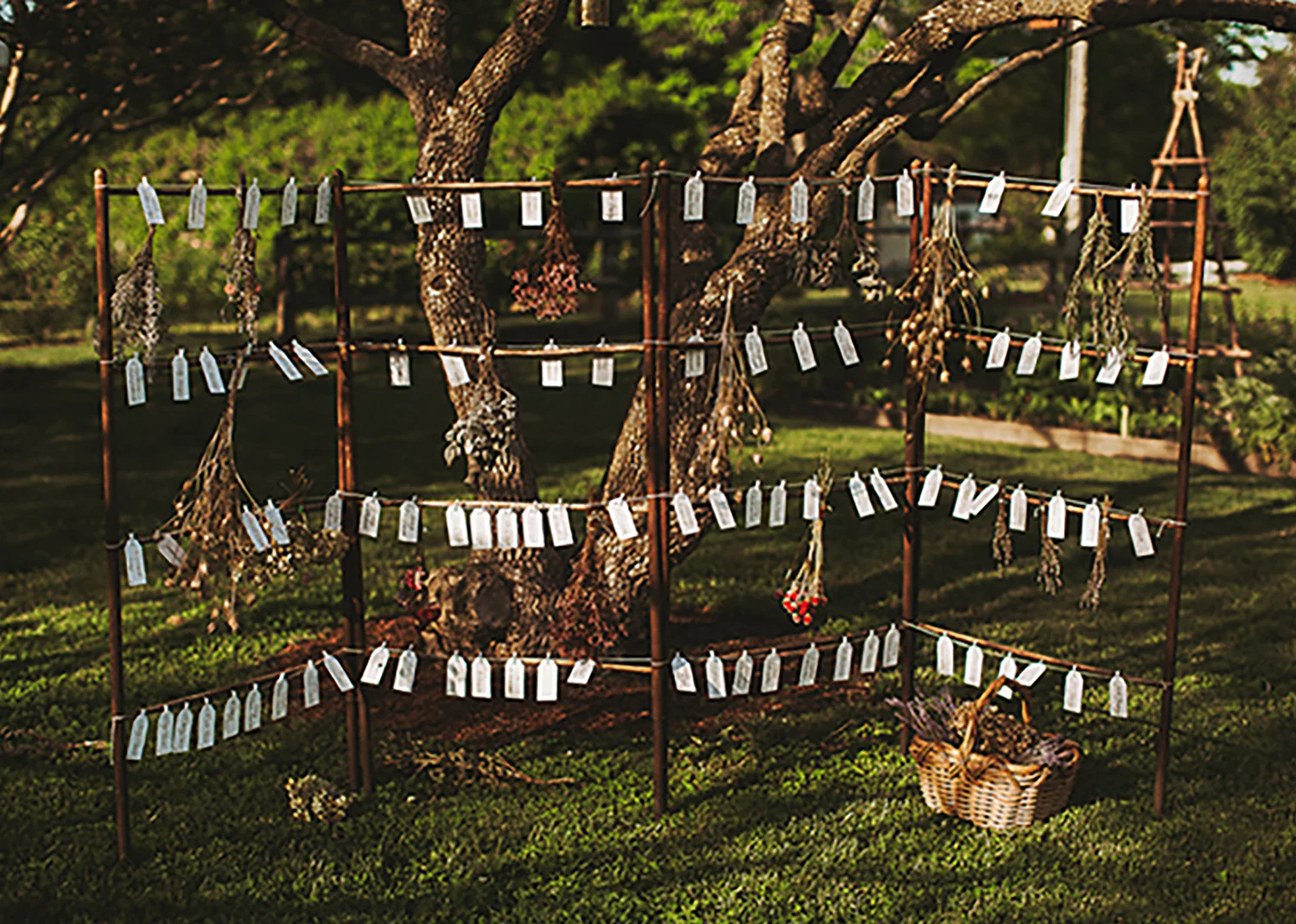 Photosynthesis Floral Design-Nessa K Photography