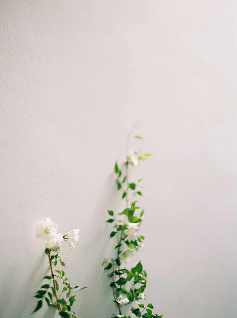 Photosynthesis Floral Design-Kate Ignatowski Photography