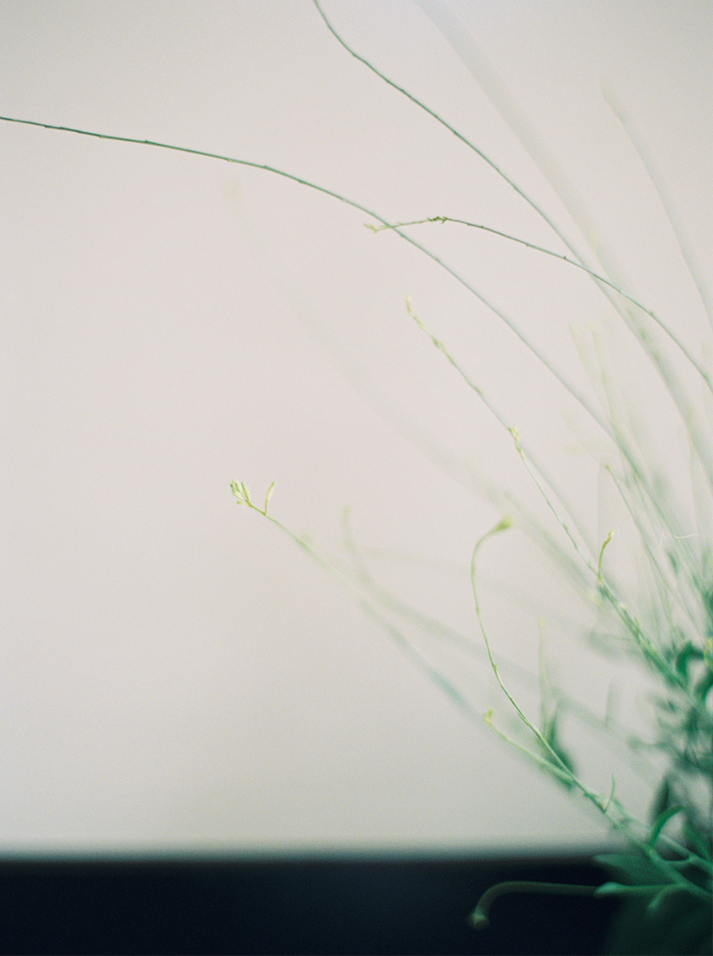 Photosynthesis Floral Design-Kate Ignatowski Photography