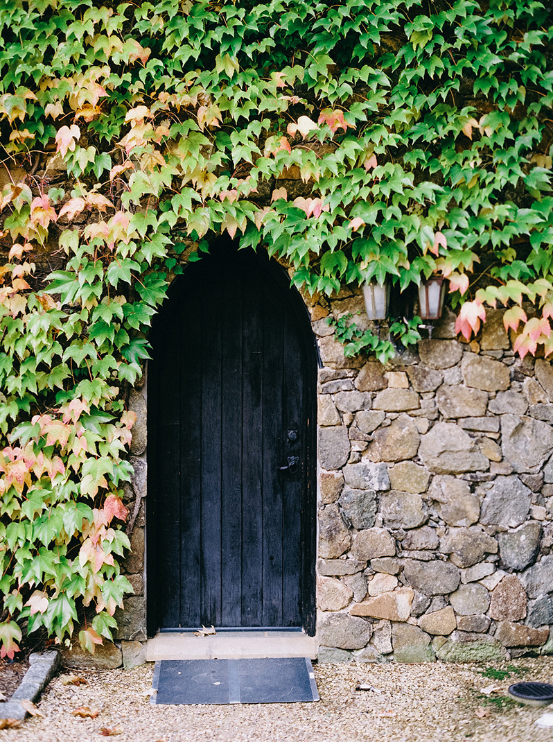 Photosynthesis Floral Design-Nikki Santerre Photography