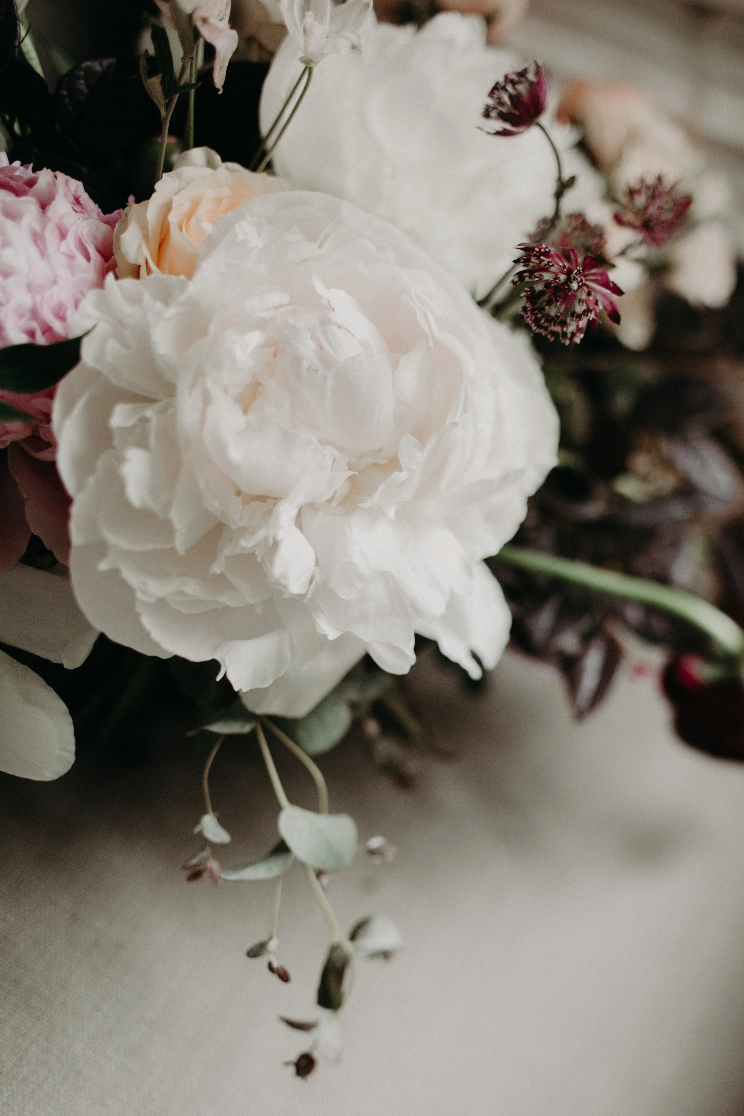 Photosynthesis Floral Design-Kaytee Lauren PhotographyPhotosynthesis Floral Design-Kaytee Lauren Photography