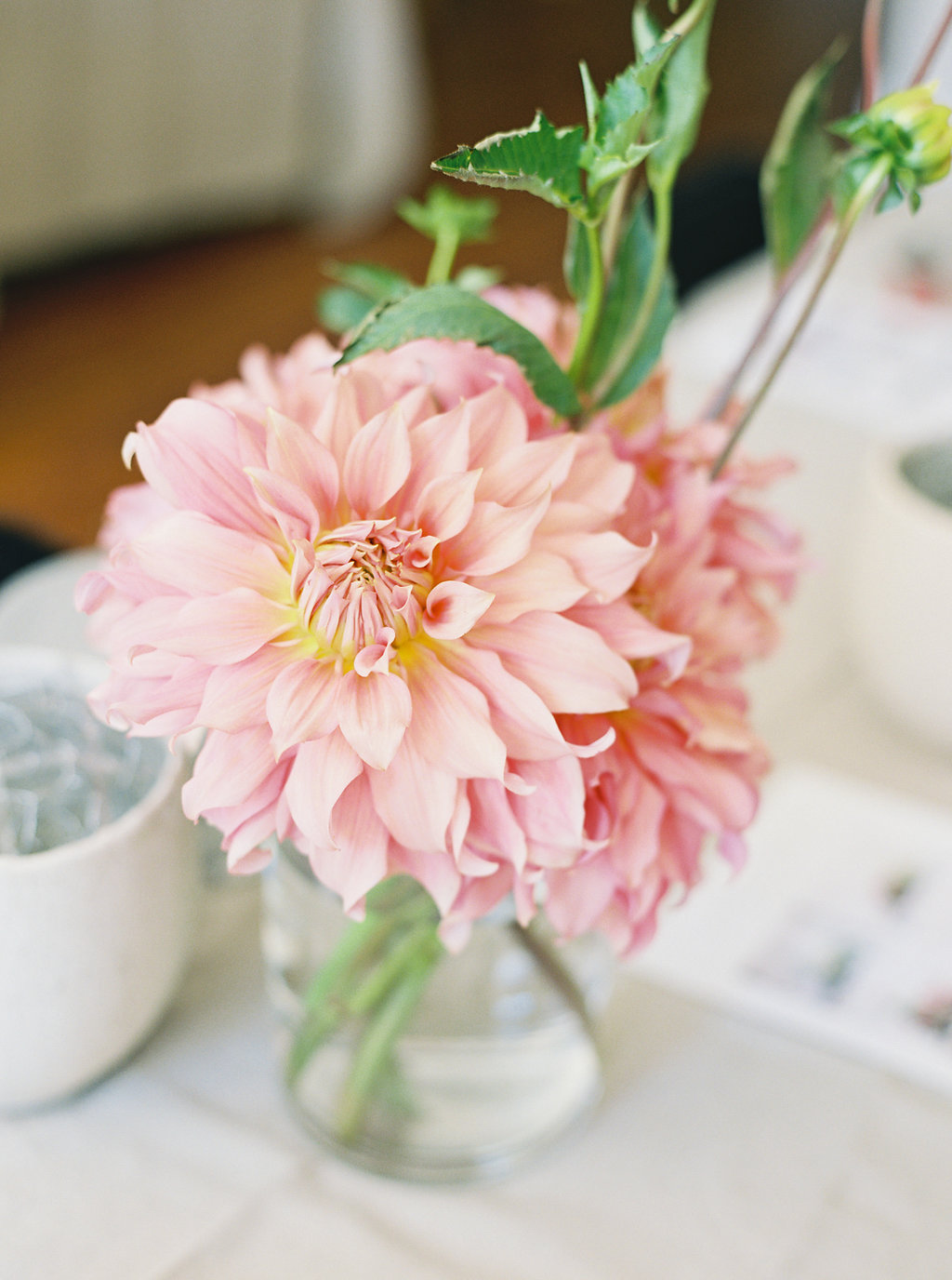 photosynthesis floral design-kim stockwell photography