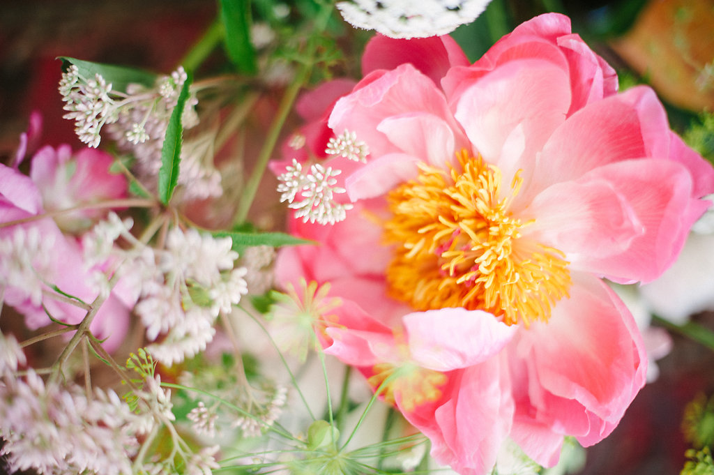 photosynthesis floral design-kim stockwell photography