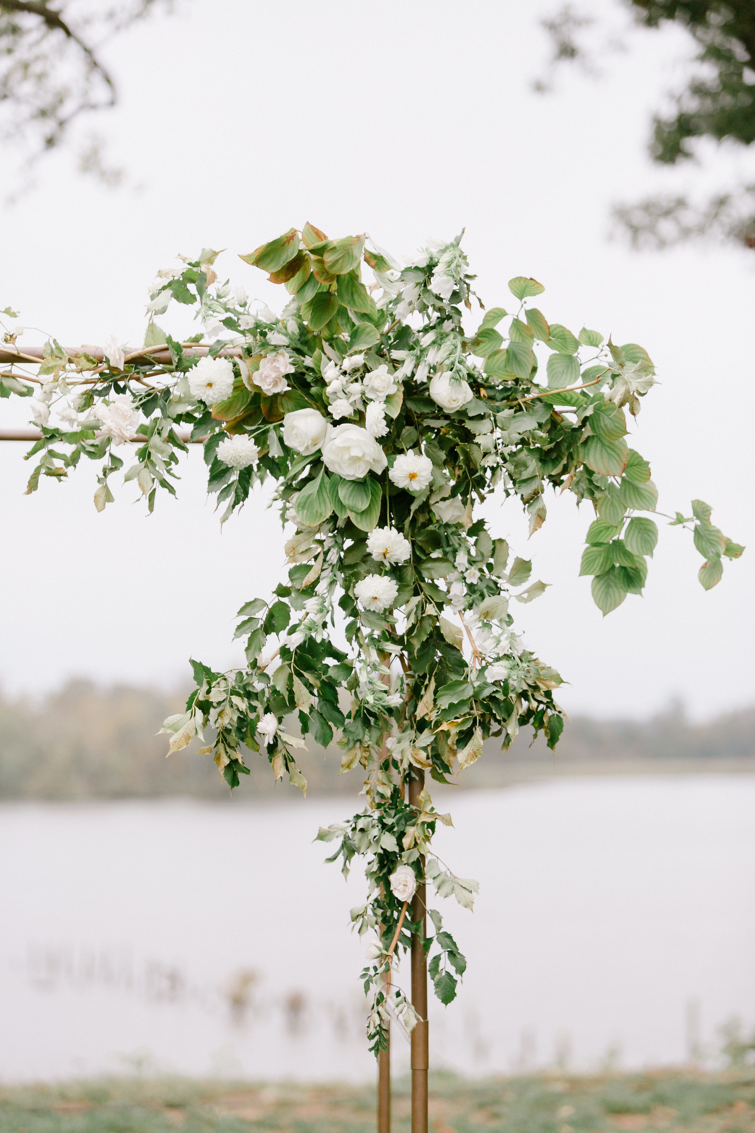 Photosynthesis Floral Design-David Able Photography
