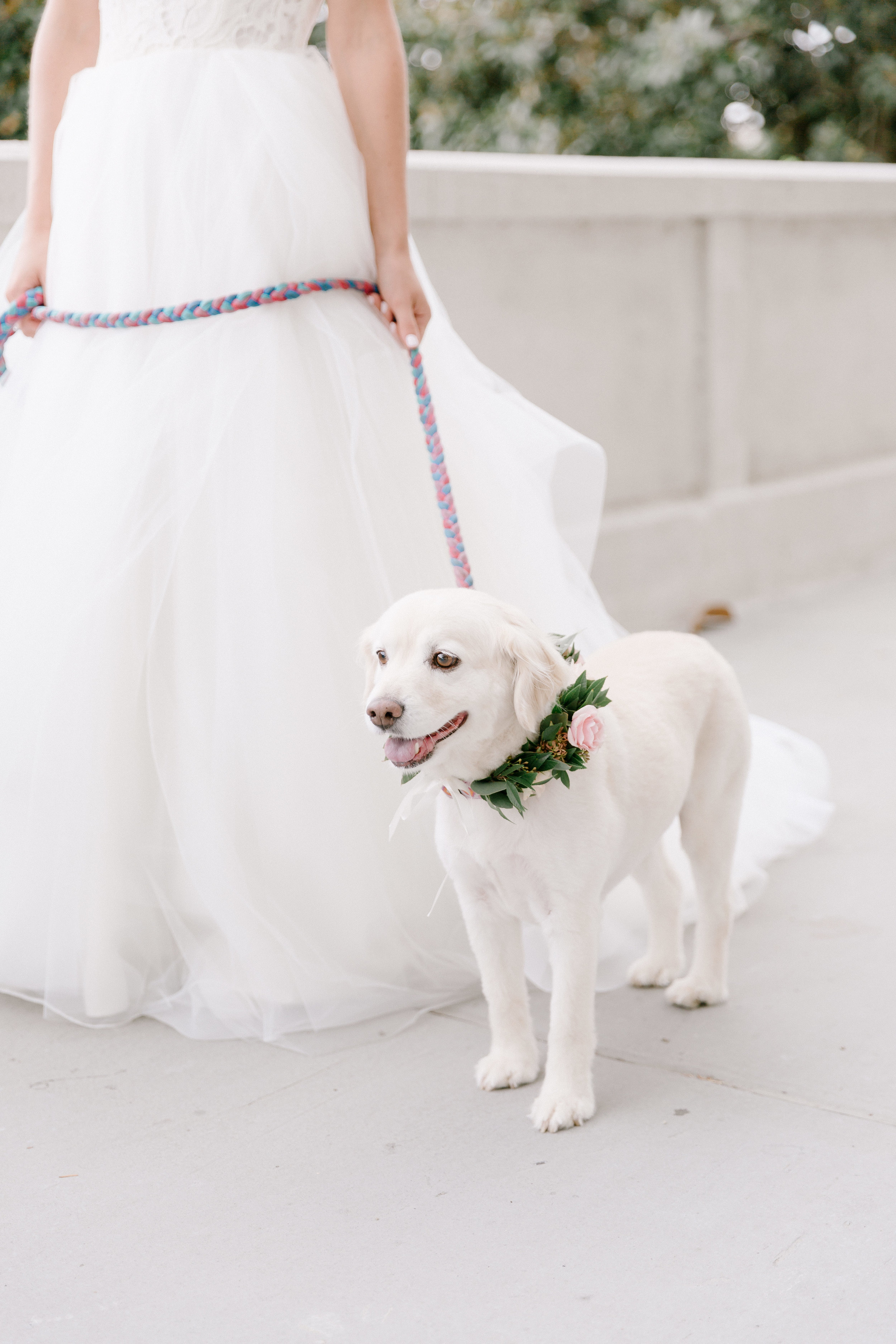 Photosynthesis Floral Design - David Abel Photography