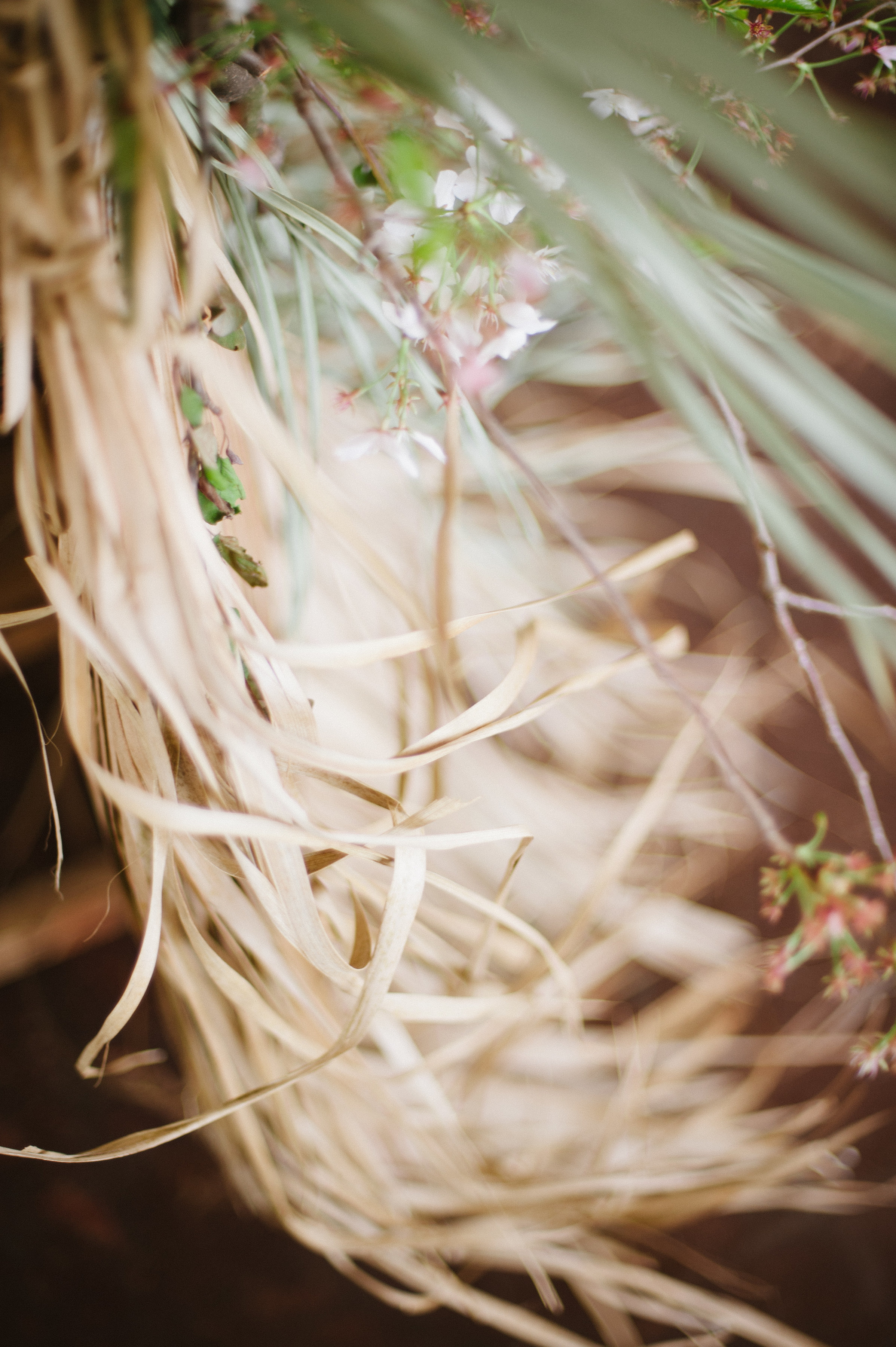 Photosynthesis Floral Design- Jessica Maida Photography