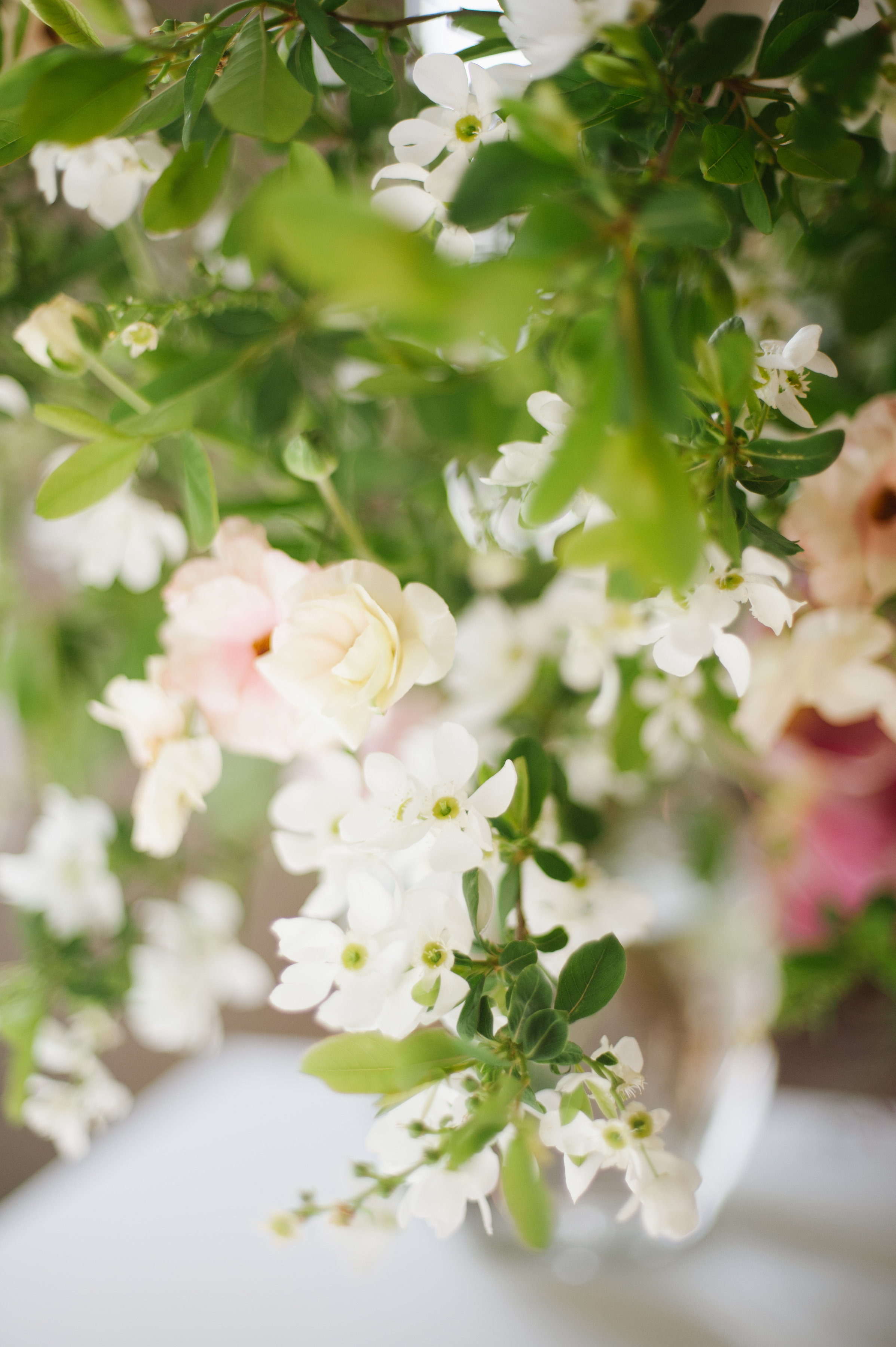 Photosynthesis Floral Design- Jessica Maida Photography