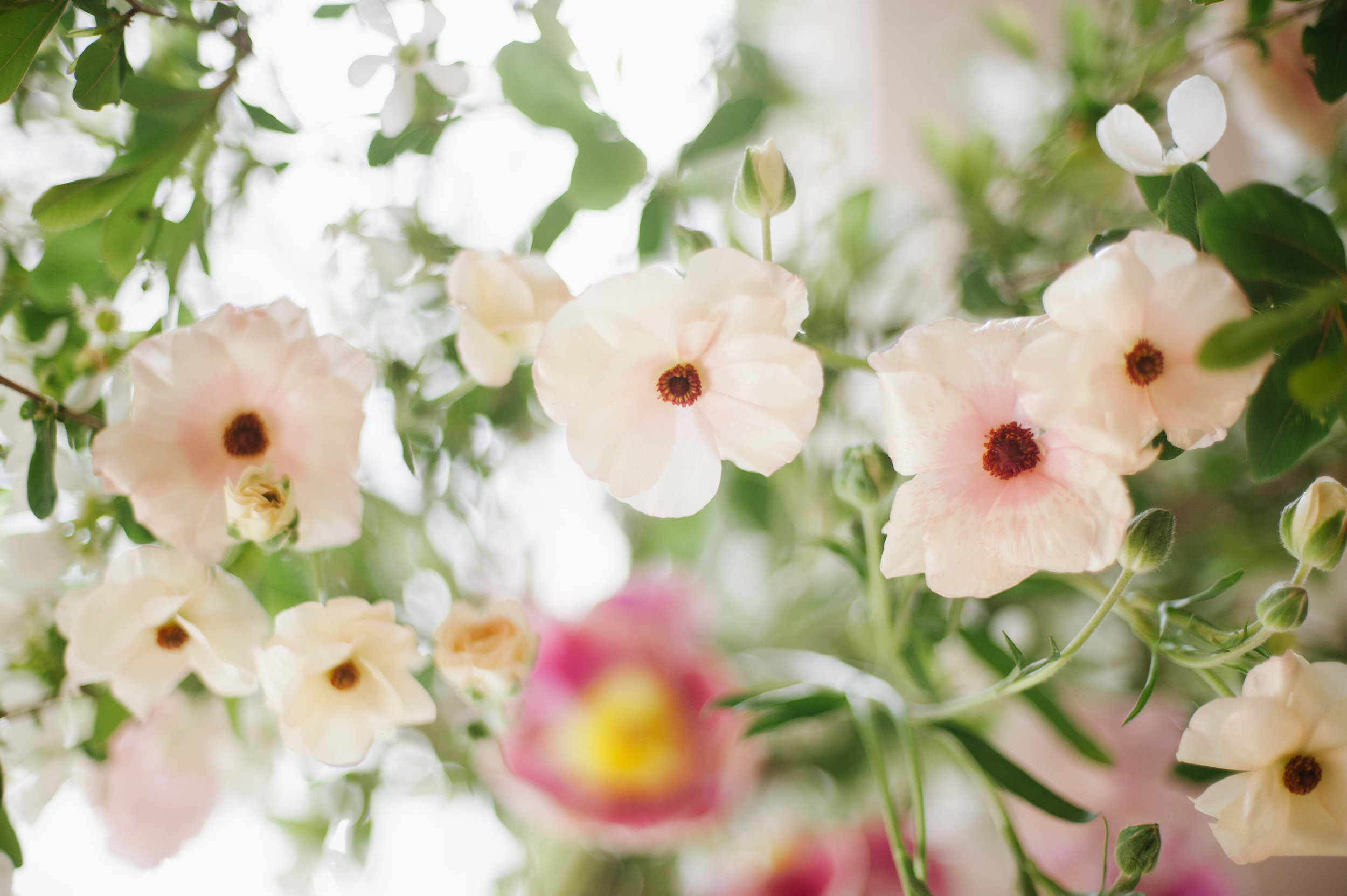 Photosynthesis Floral Design- Jessica Maida Photography