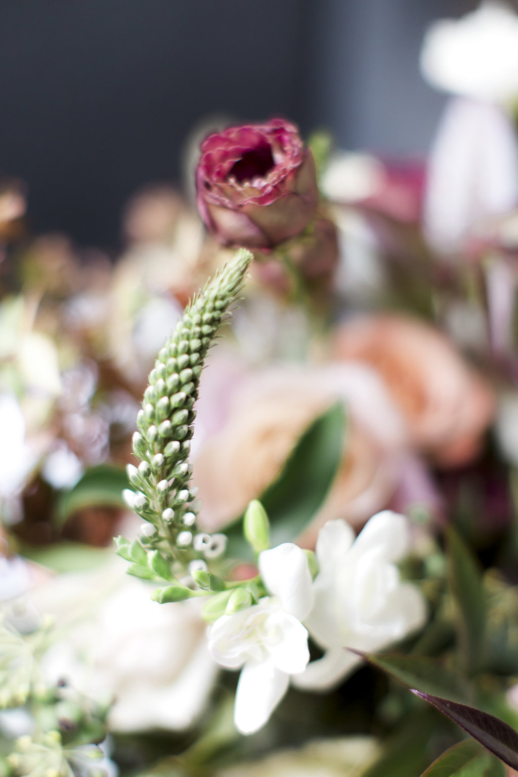 photosynthesis floral design-Stephanie Yonce Photography