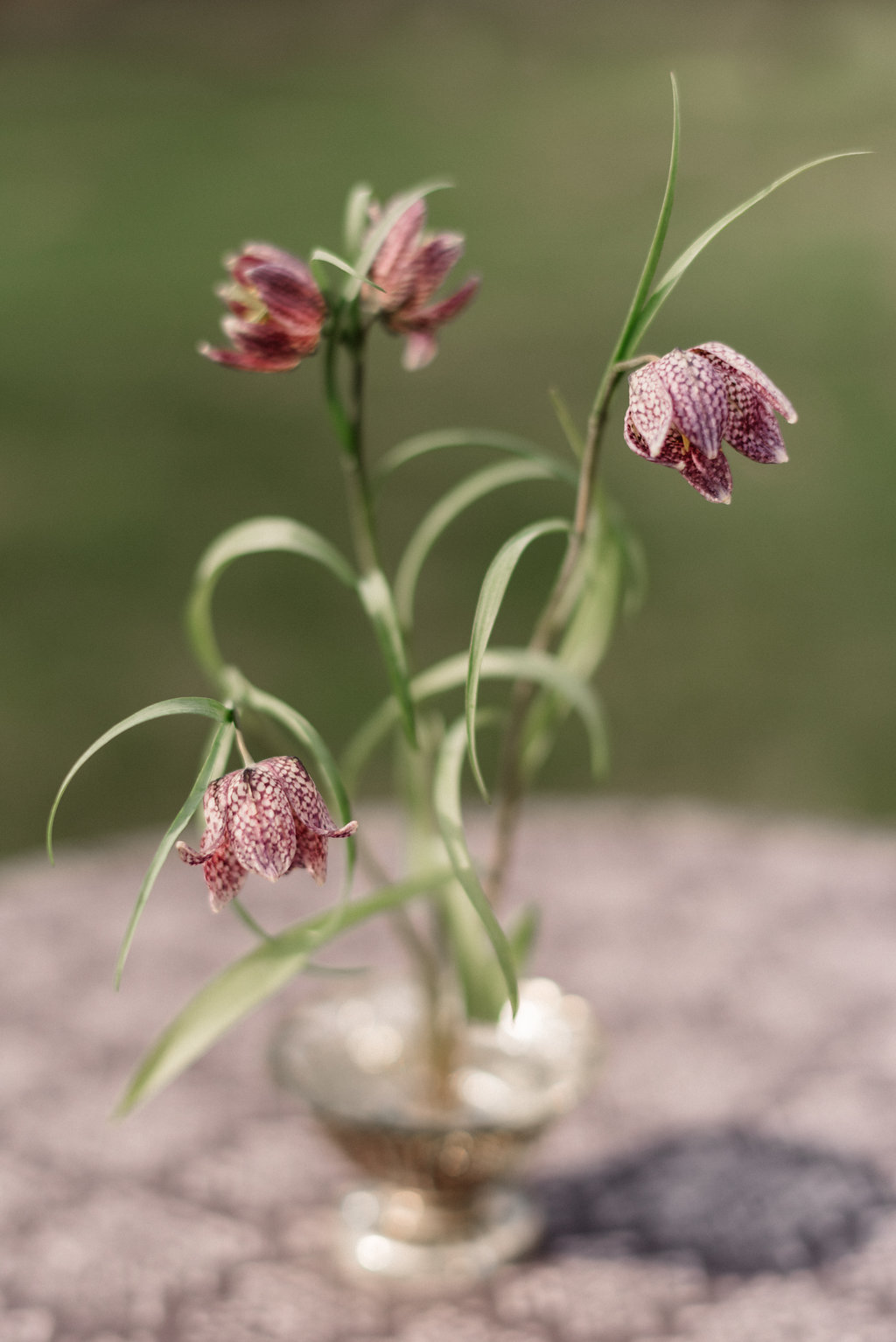 Photosynthesis Floral Design-Alex Tenser Photography