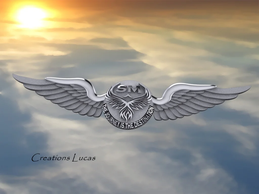 custom pilot wings