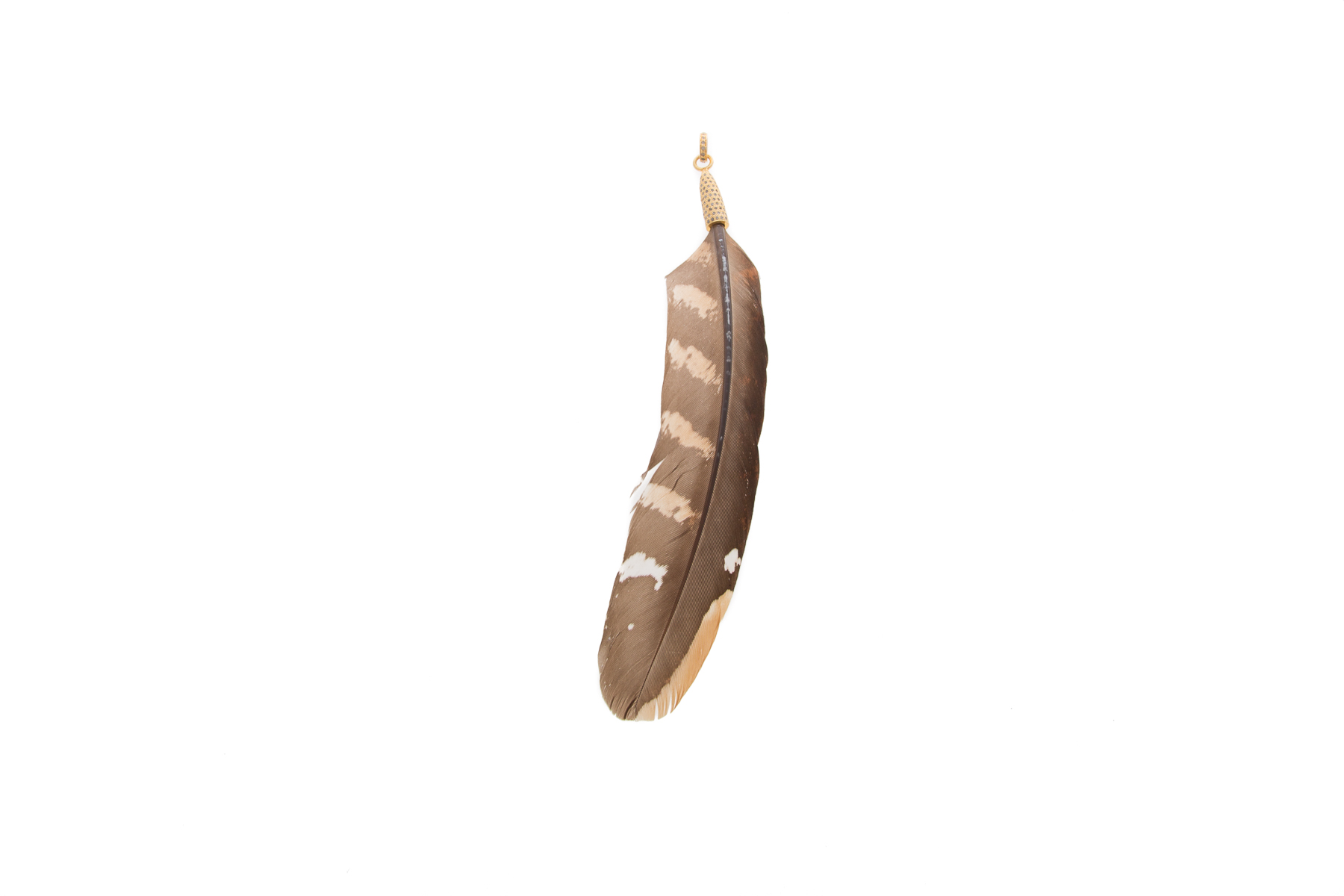 PheasantReeveQuill.jpg