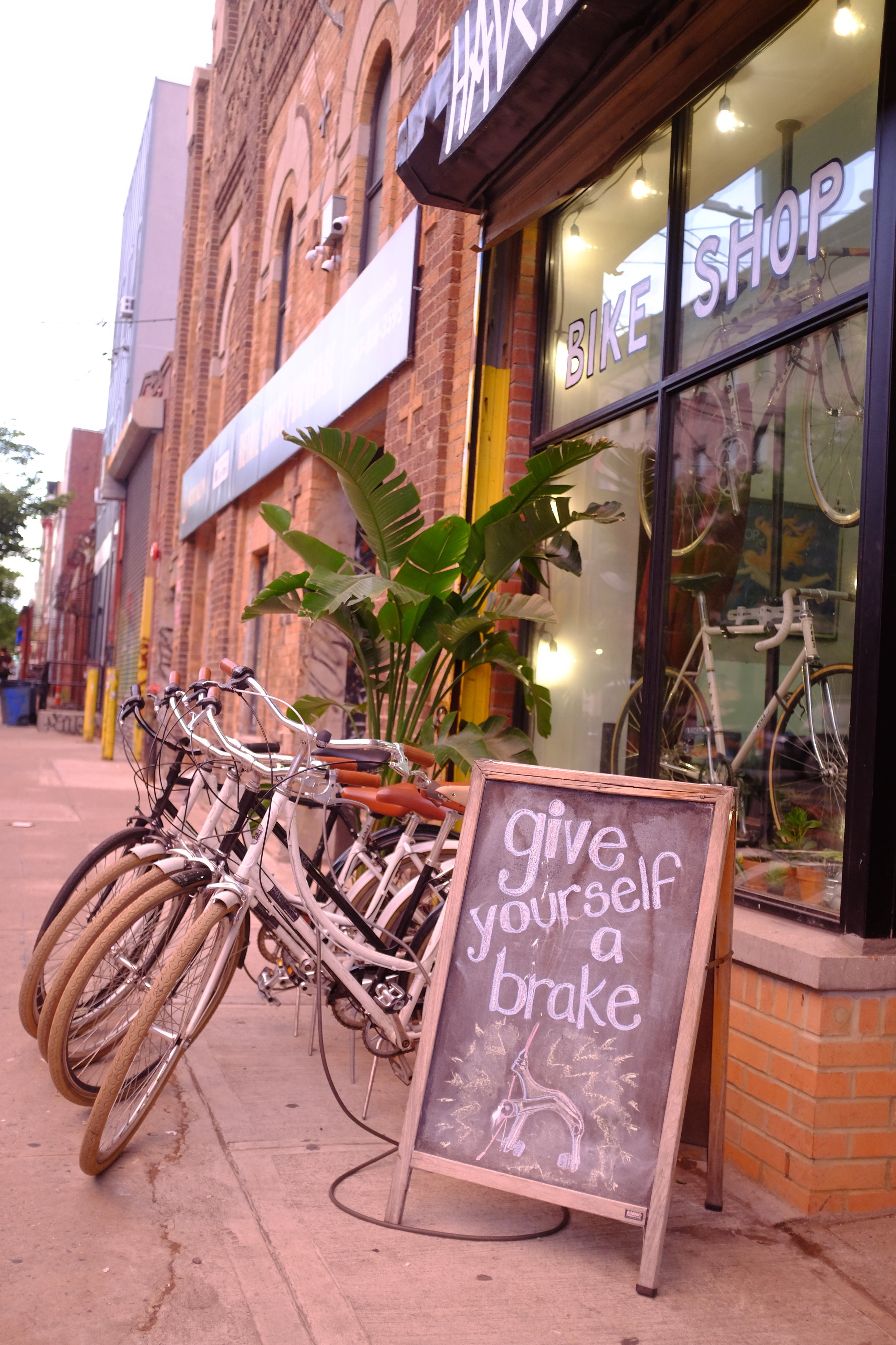  Bike rentals waiting outside the shop 