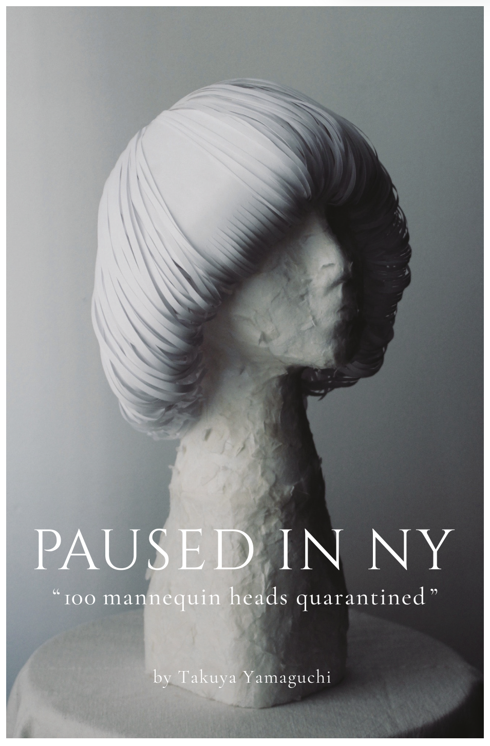PAUSED IN NY - 2020 Printed Book