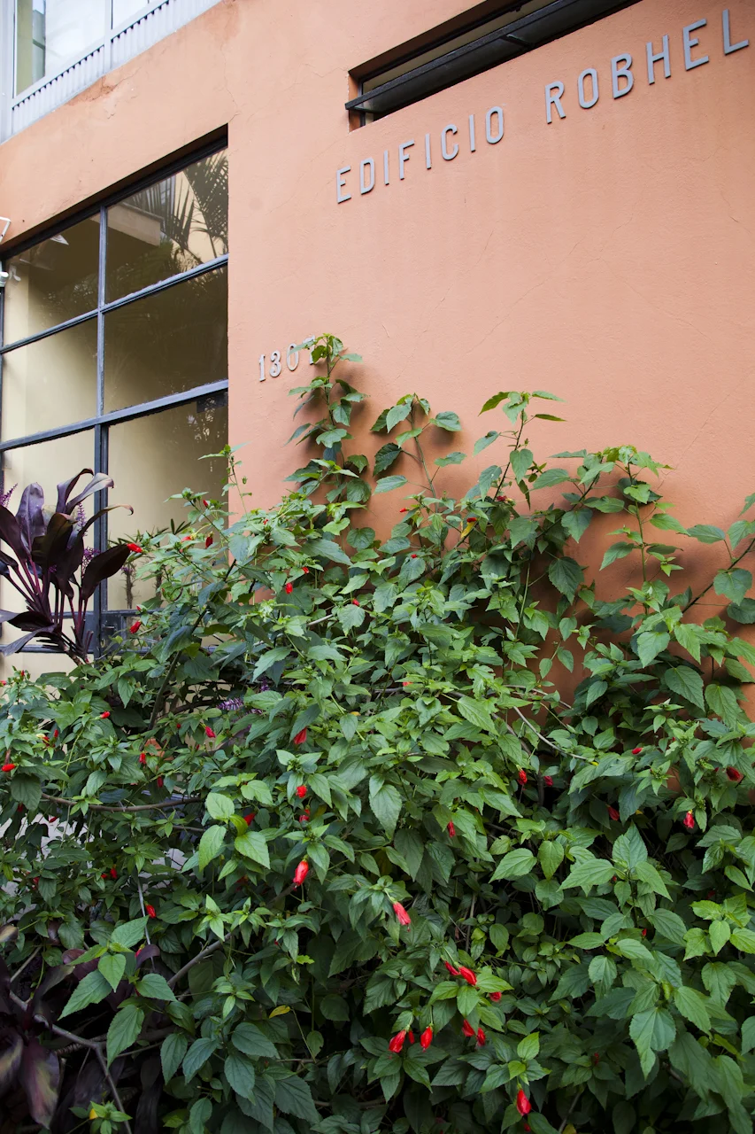 Apartamento Apinagés