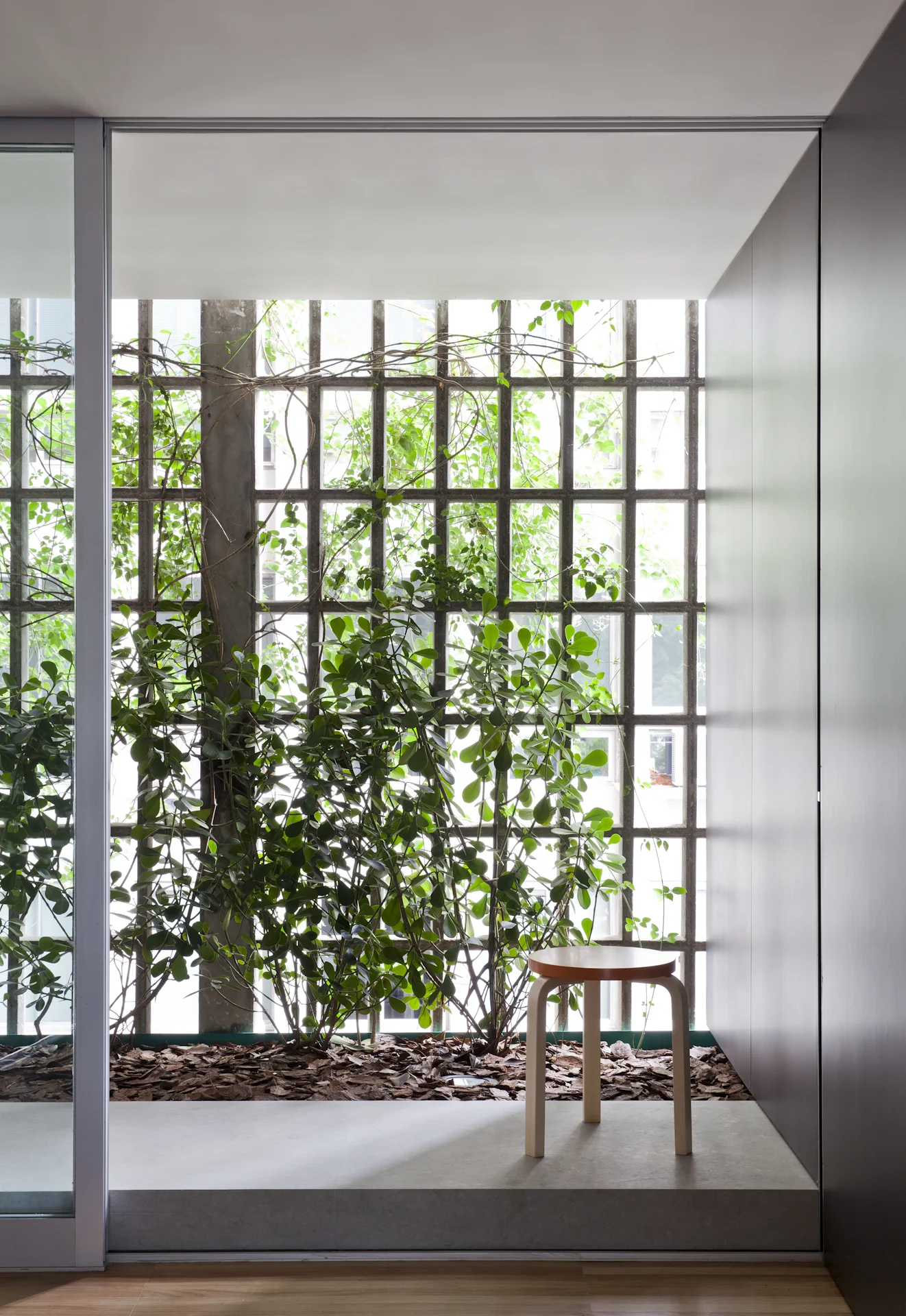 AP GRAVATA - MARCELO COUTO-16.jpg