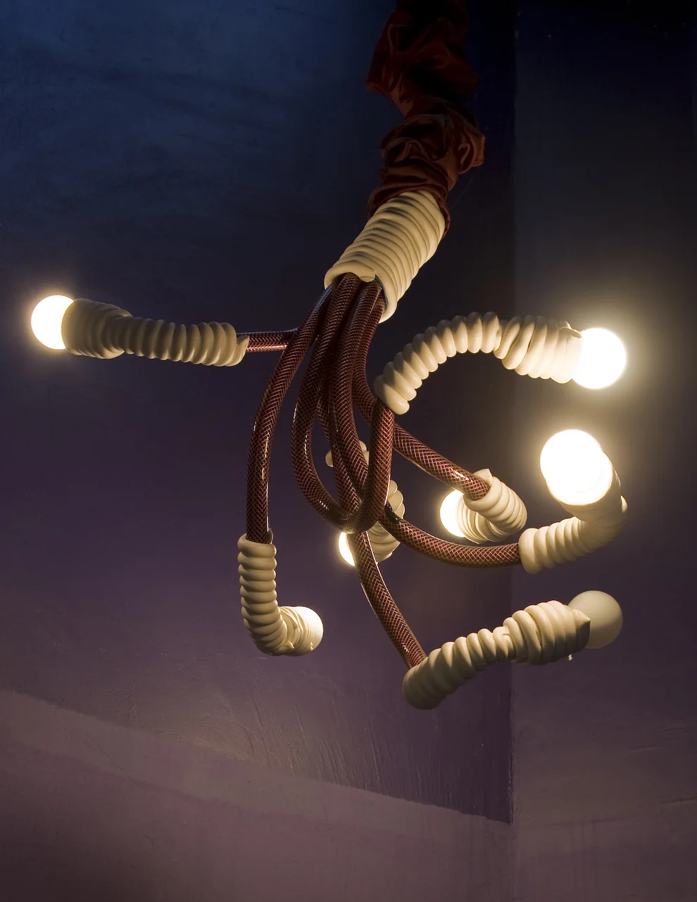 LAIKA_SUPERLIMÃO STUDIO 23.jpg
