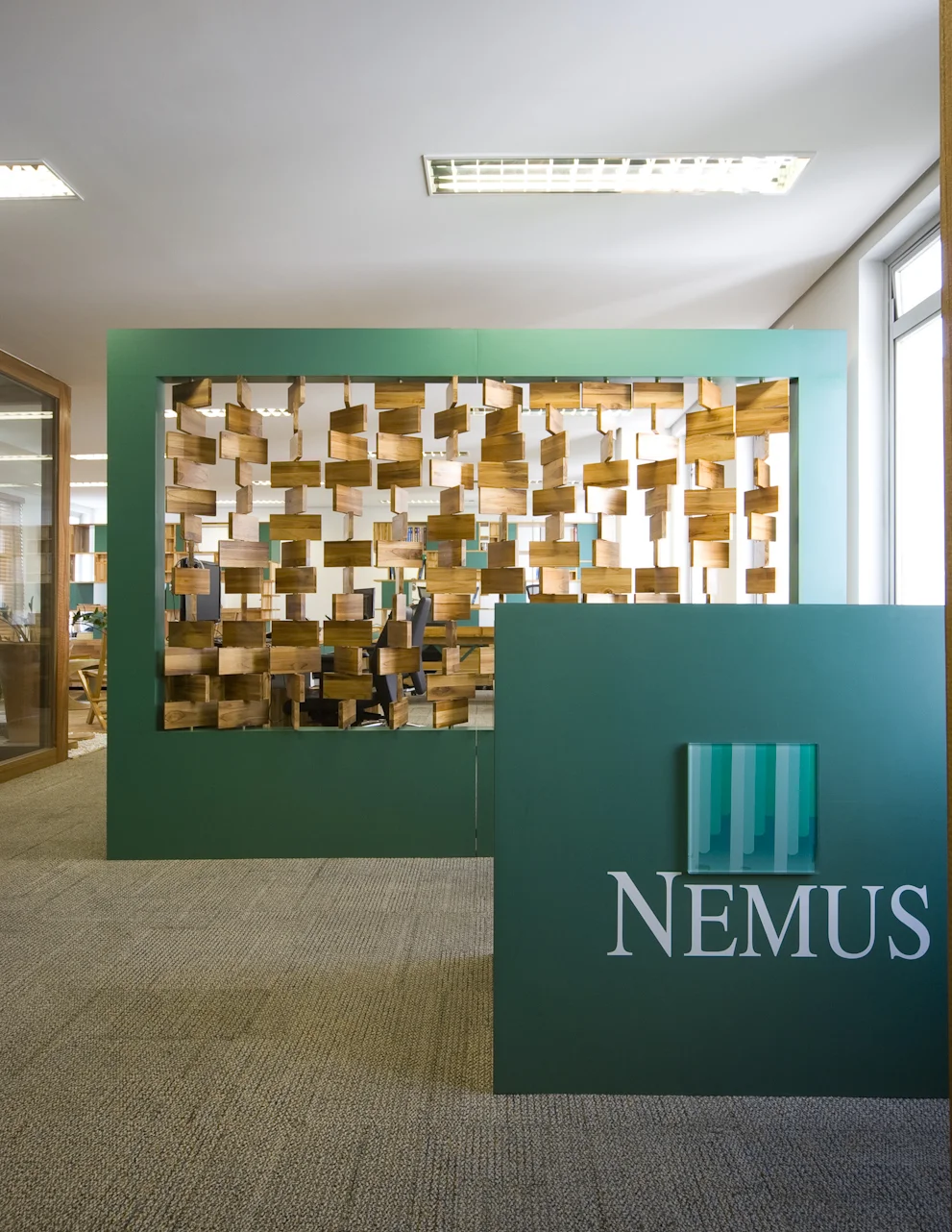 NEMUS_SUPERLIMAO STUDIO-2.jpg
